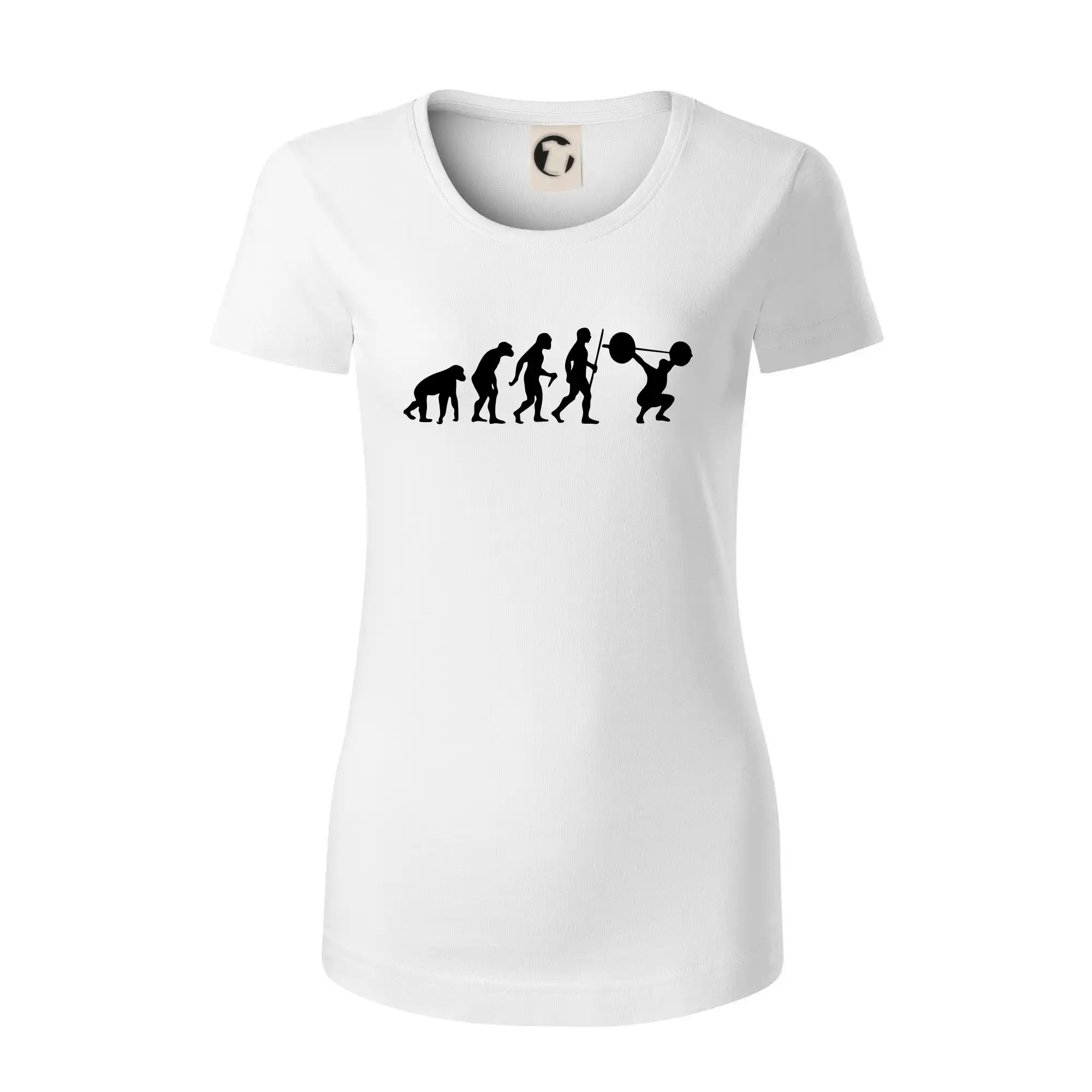 Evolution fitness