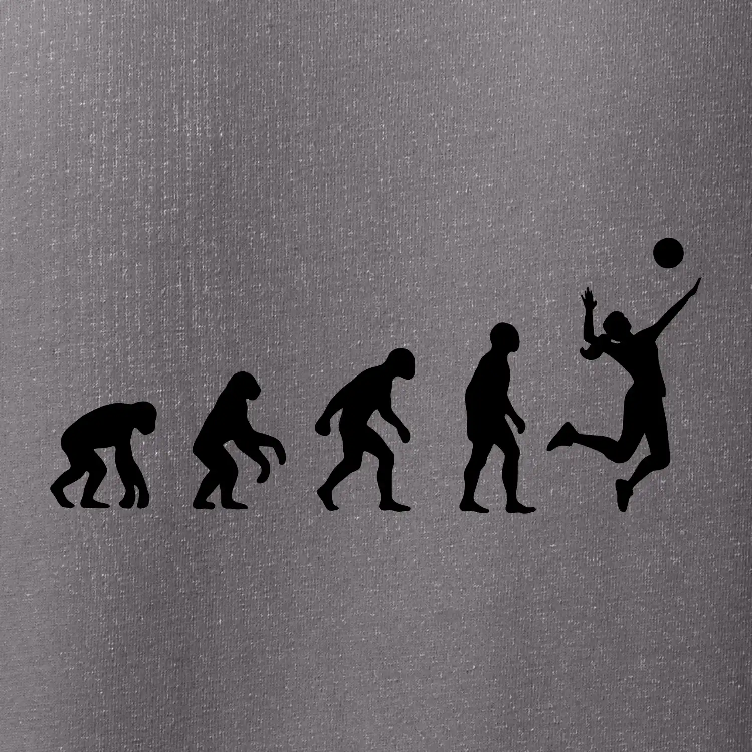 Evoluce volejbal culík