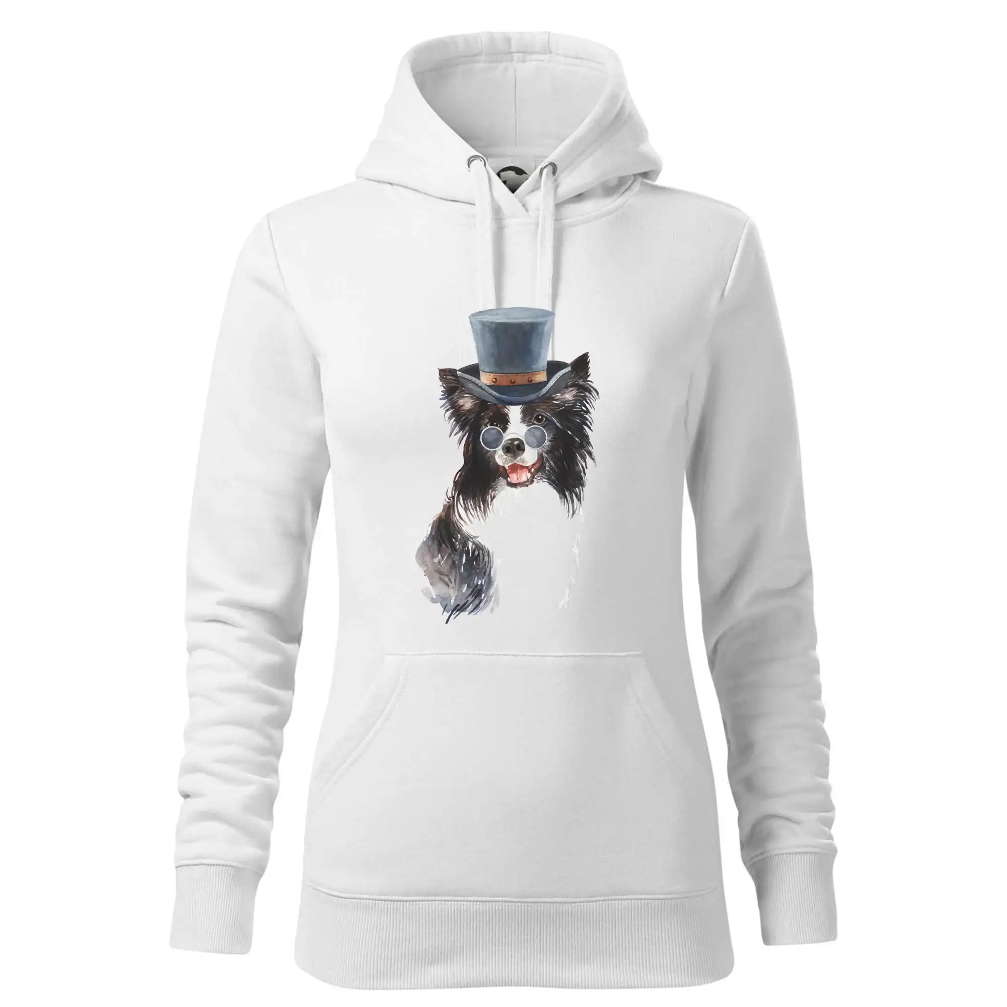 Border kolie v klobouku