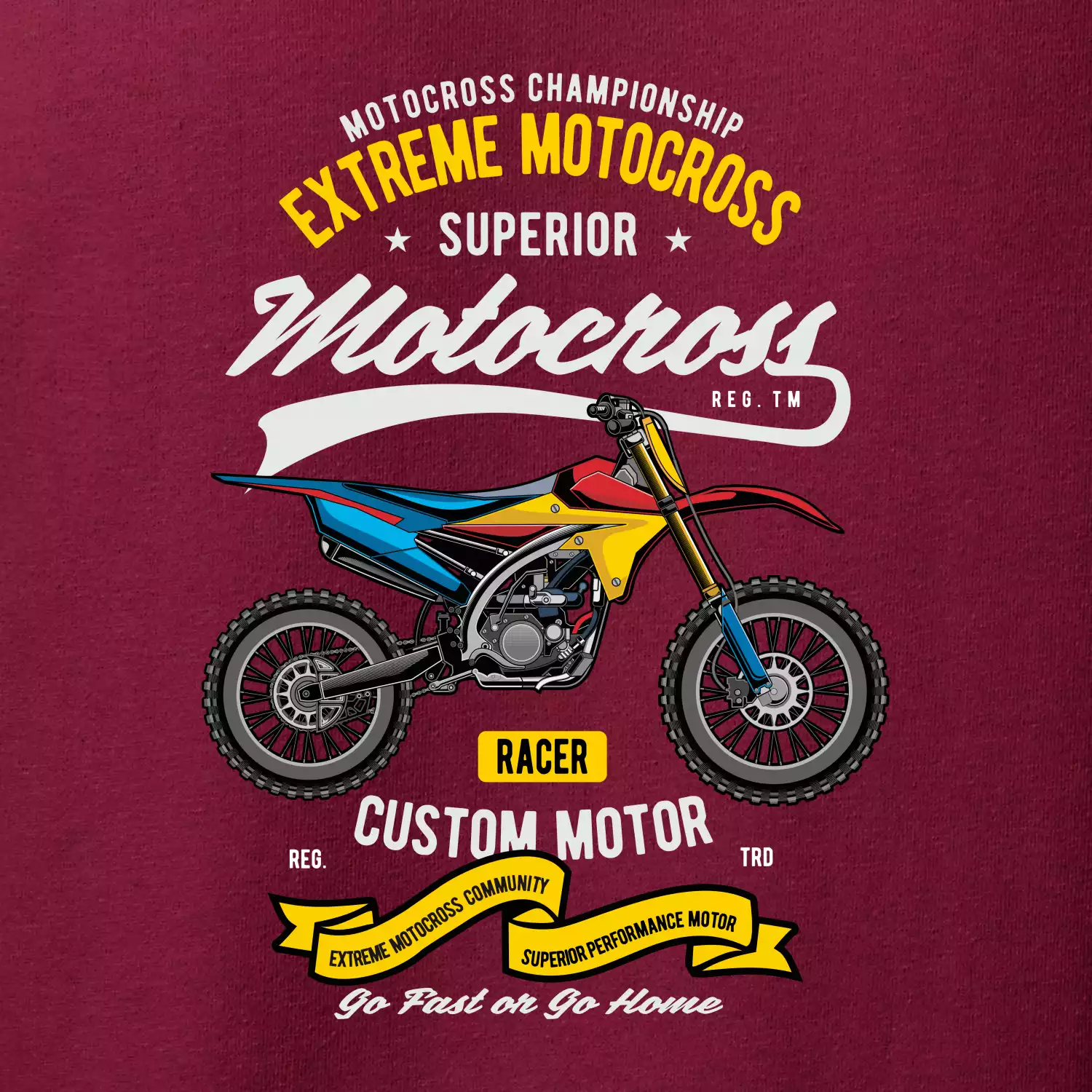Motocross extreme custom motor