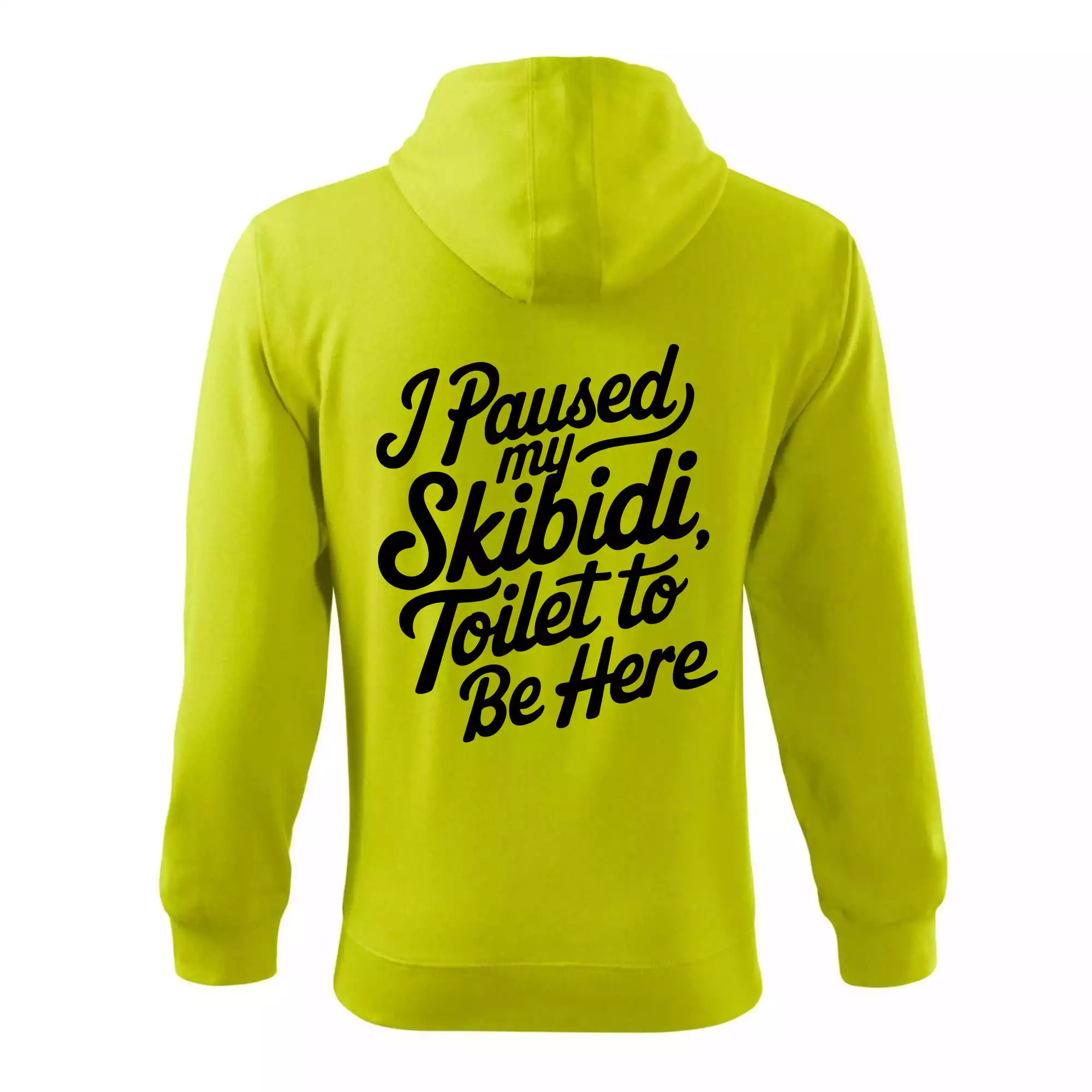 I Paused My Skibidi Toilet to be Here