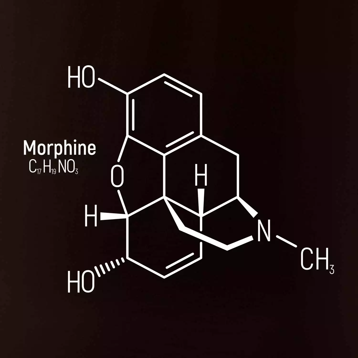 Molekulární struktura Morfin