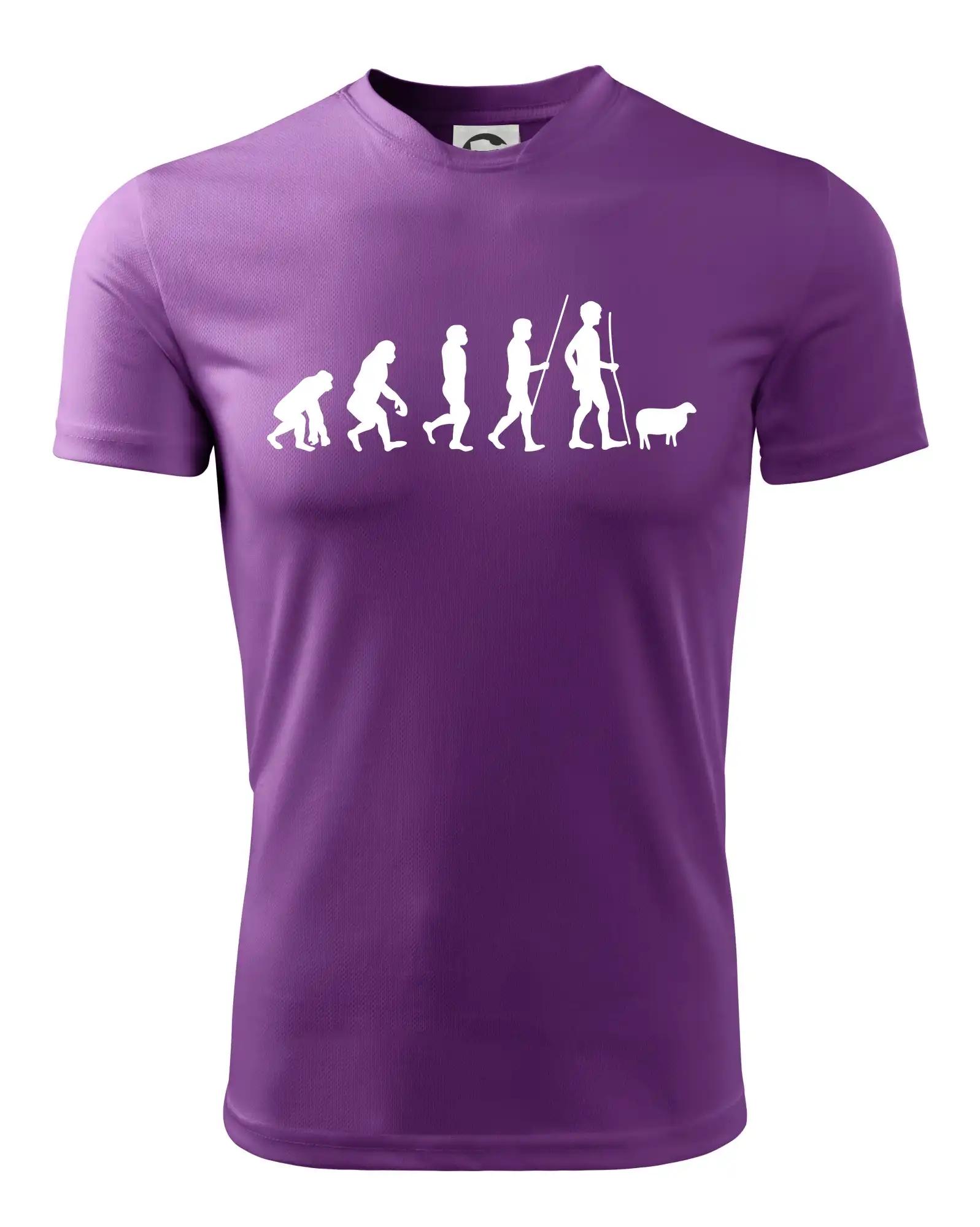 Evoluce pastevec ovcí