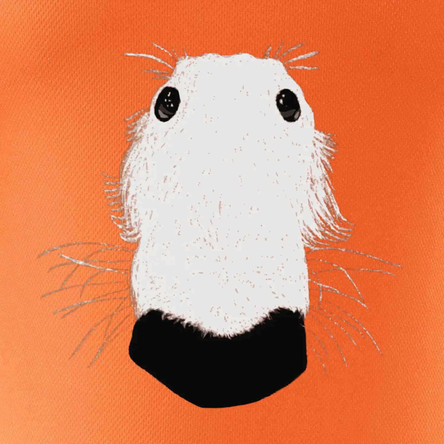 Barzoj čumák (Moňas)