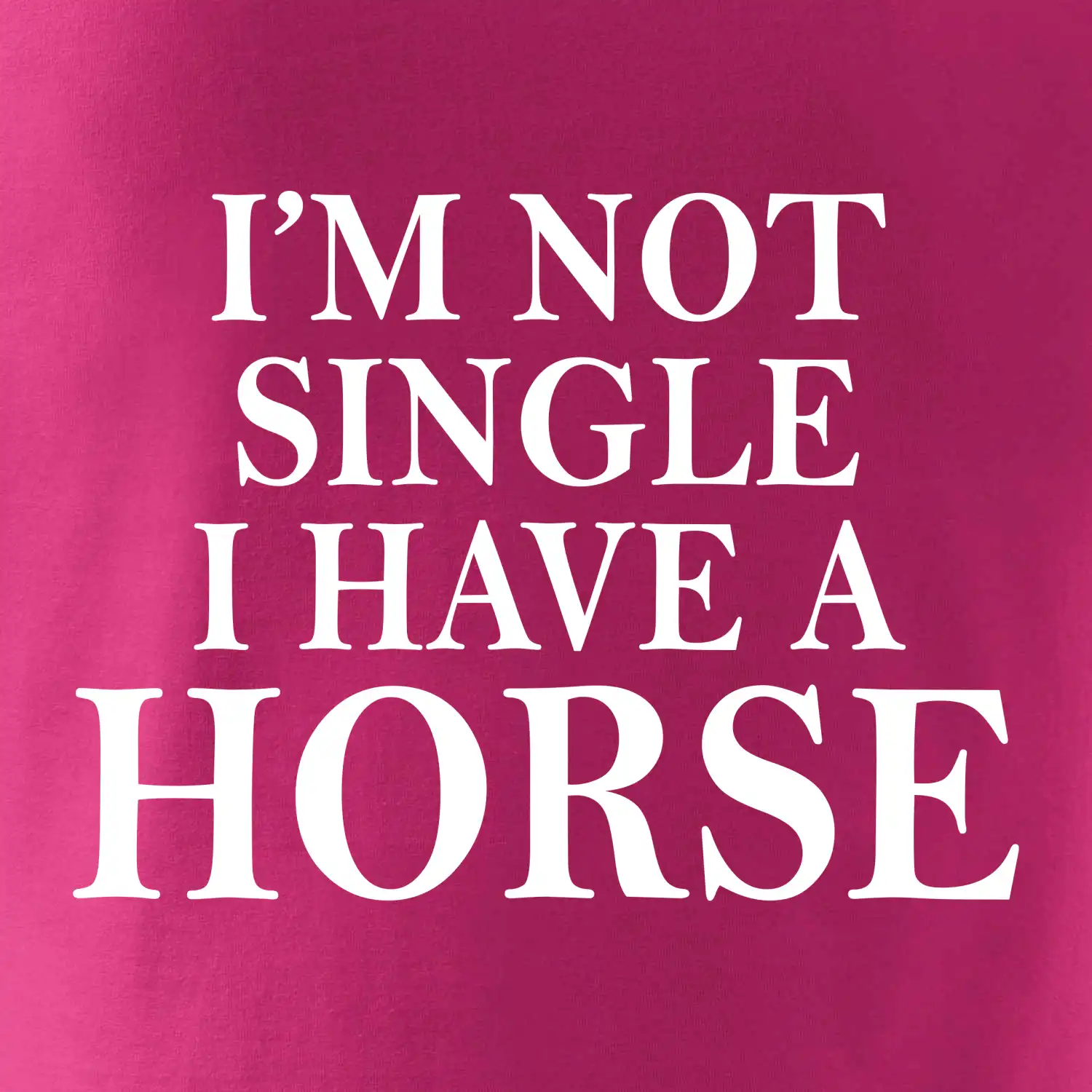 I have a horse - Nepotřebuji přítele