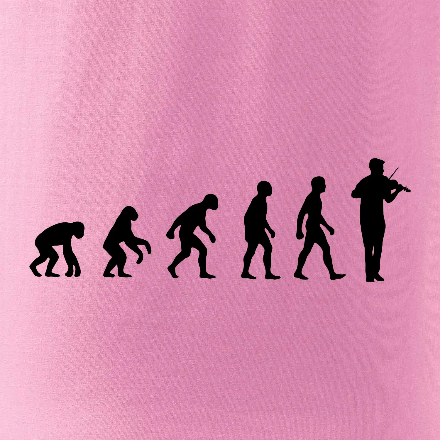Evoluce houslista