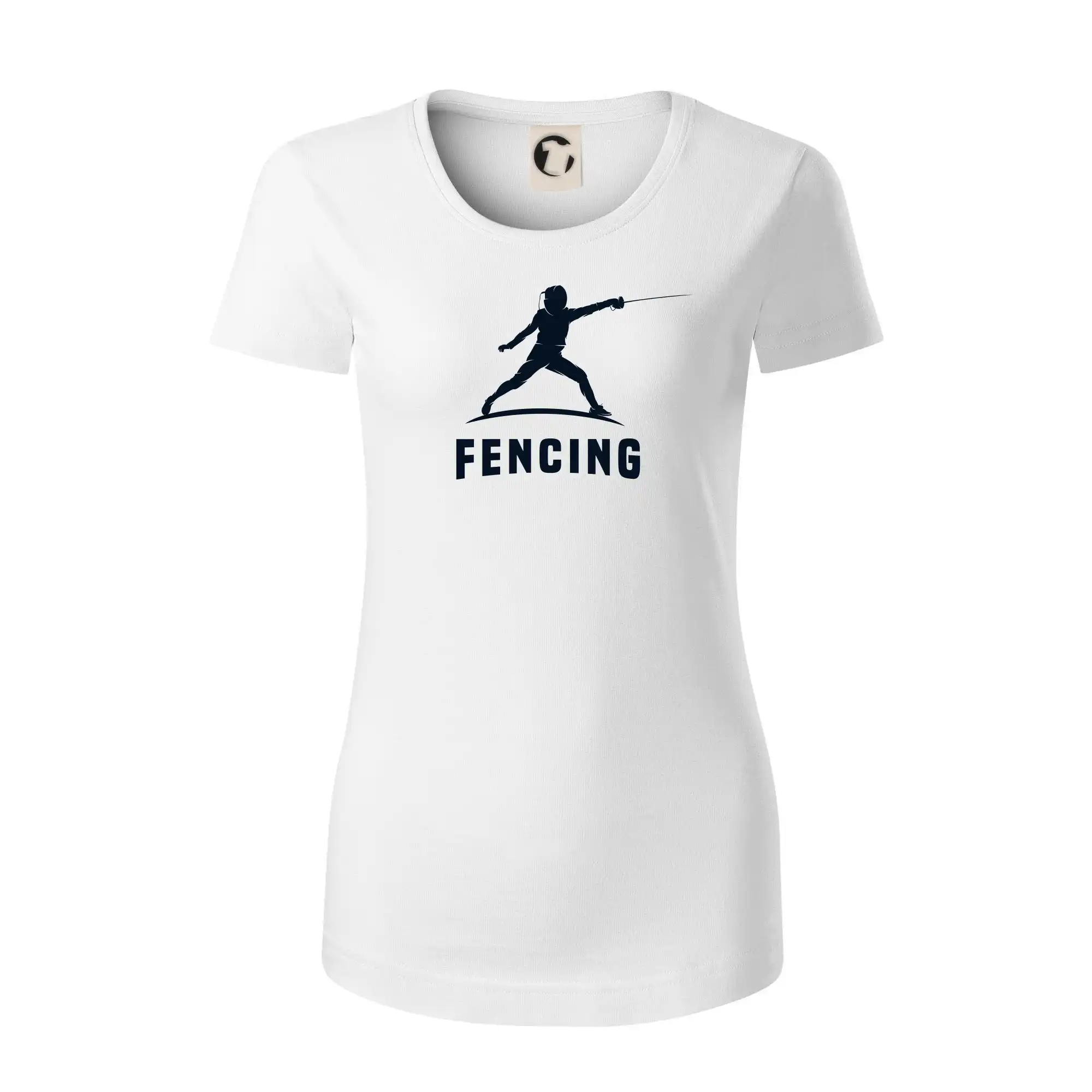 Fencing (šerm) - postava