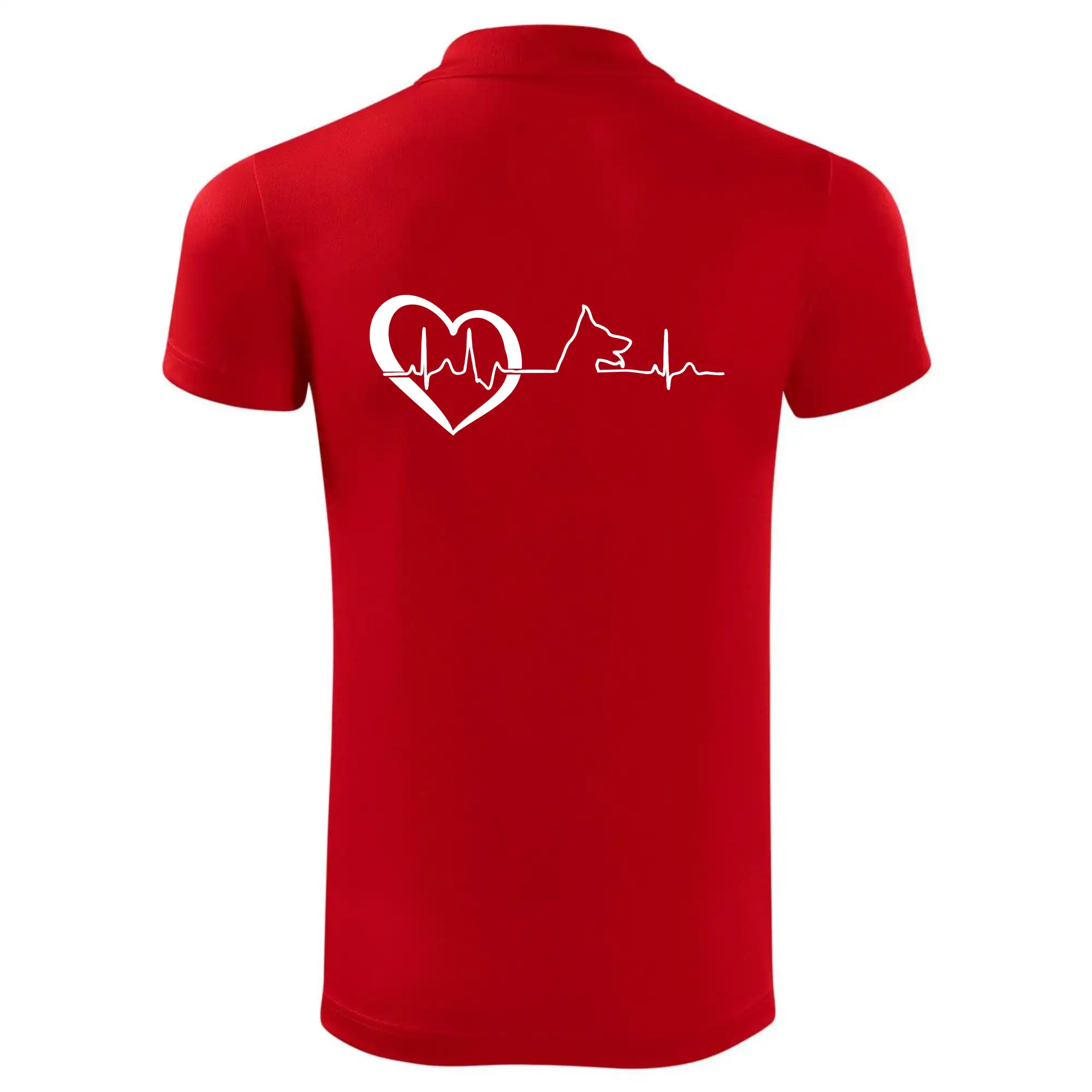 Německý ovčák ekg