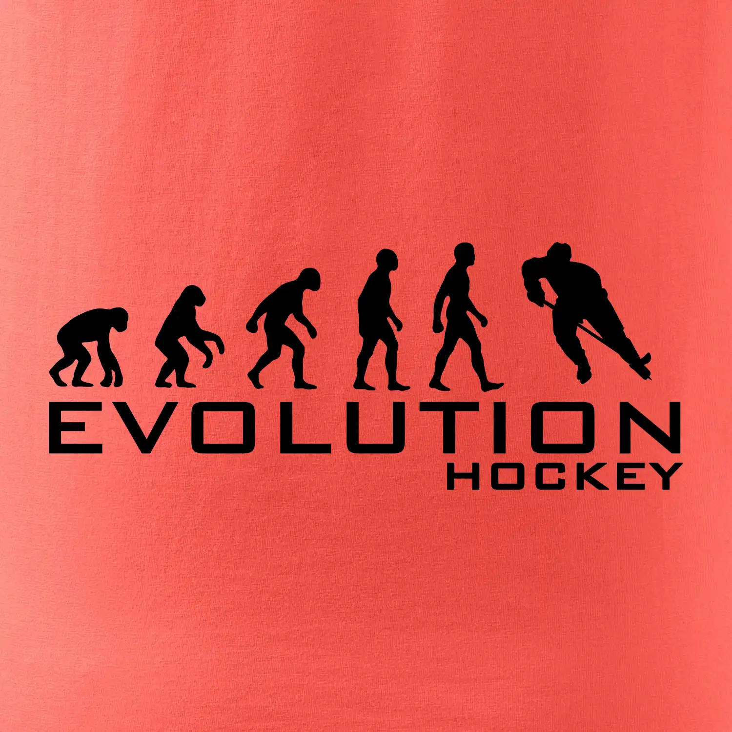 Evoluce Hockey - hráč