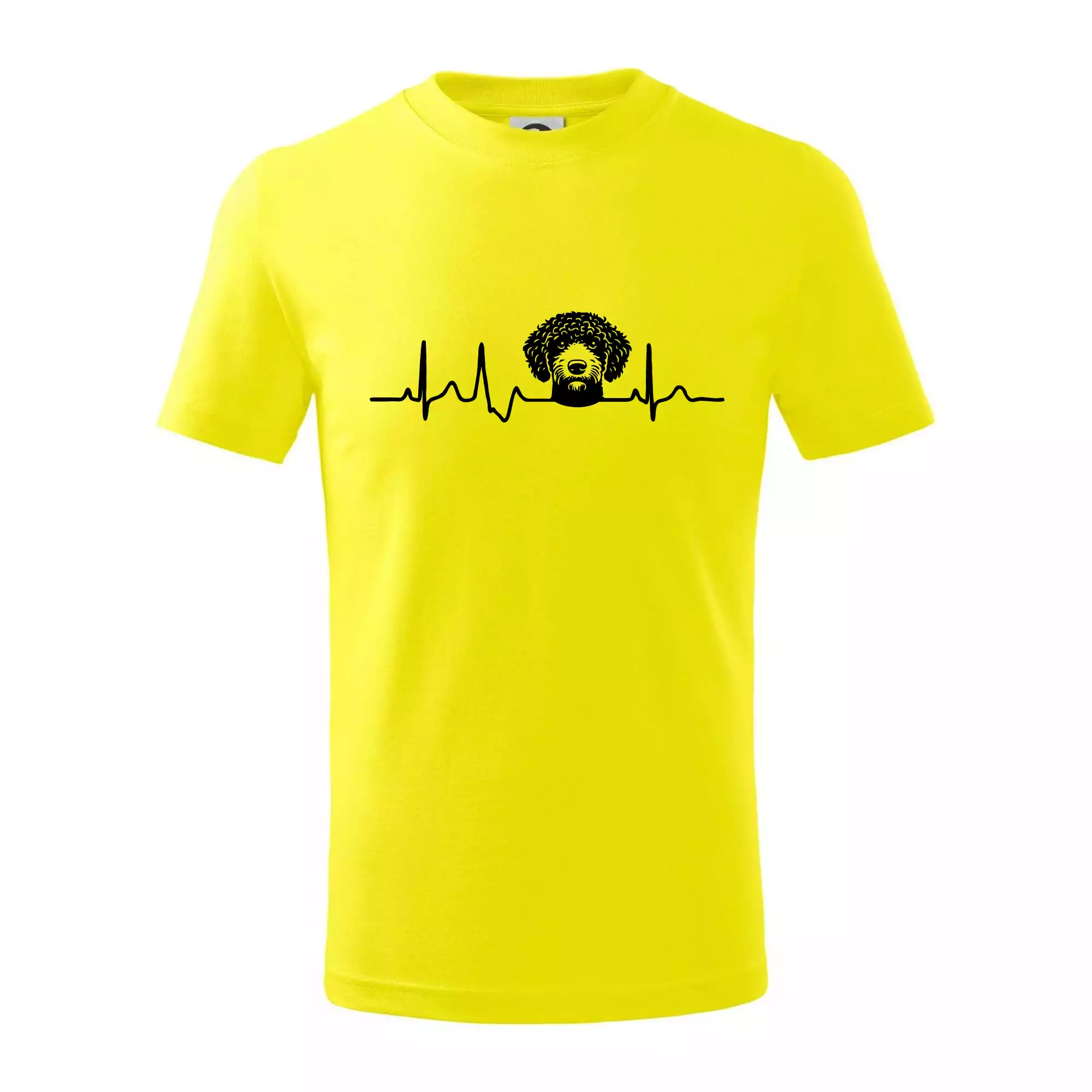 Lagotto romagnolo hlava EKG