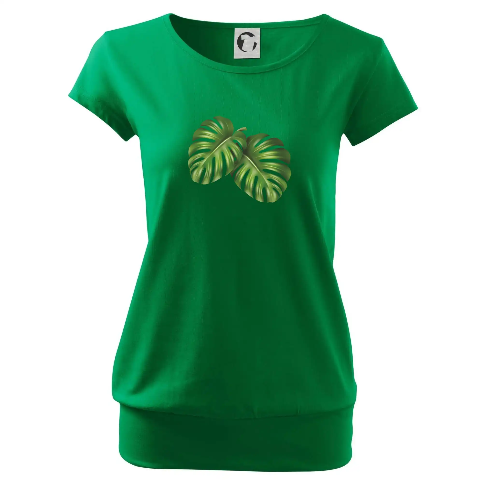 Monstera - dva listy