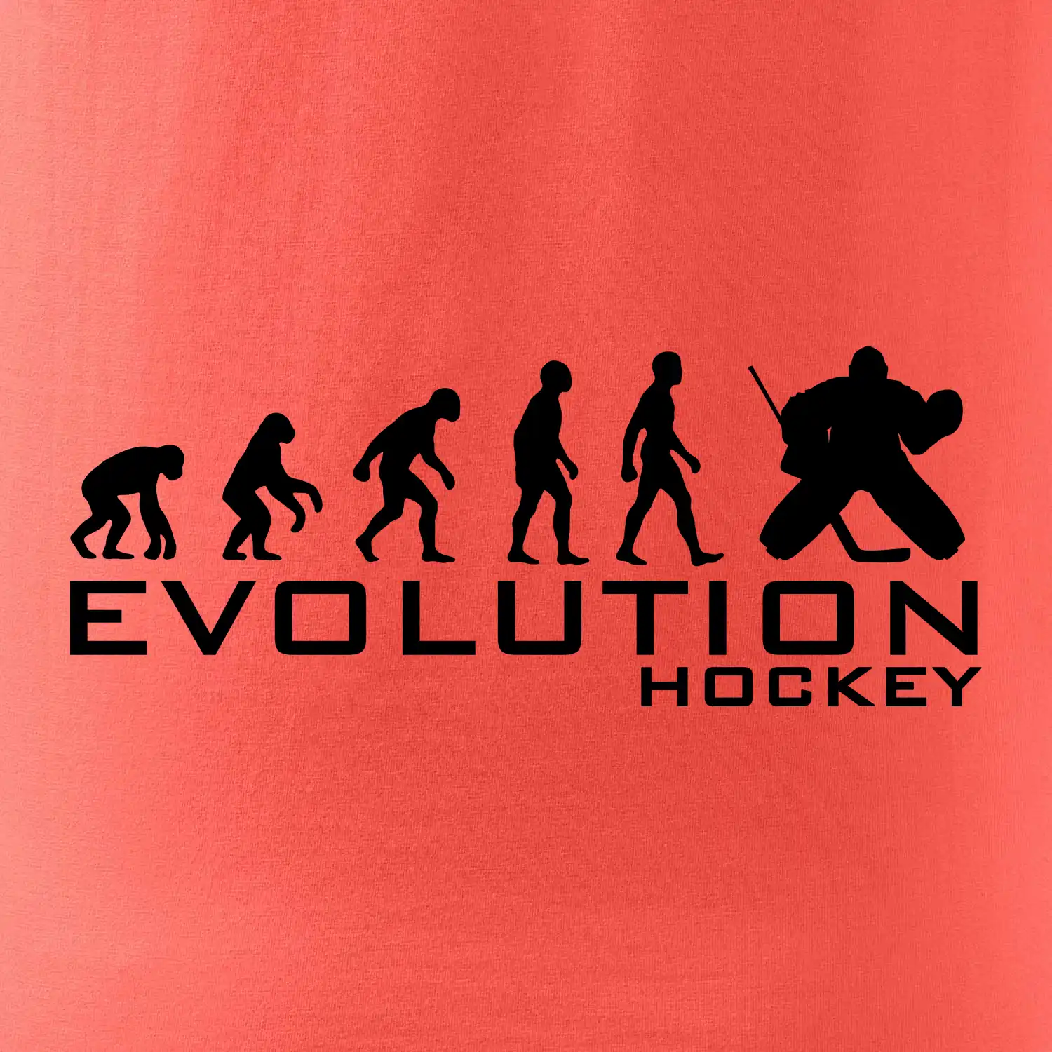 Evoluce Hockey brankář