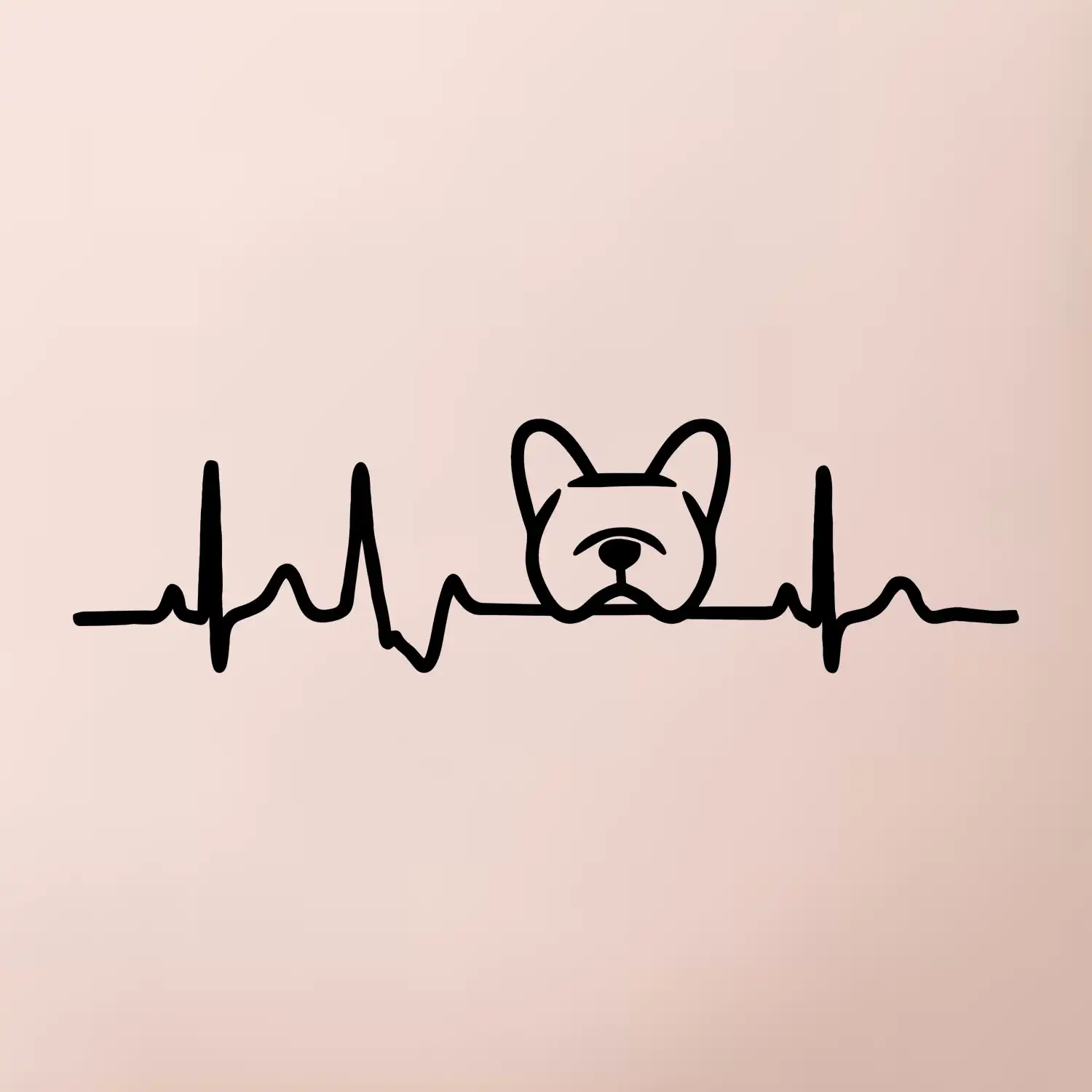 EKG Francouzský buldoček hlava