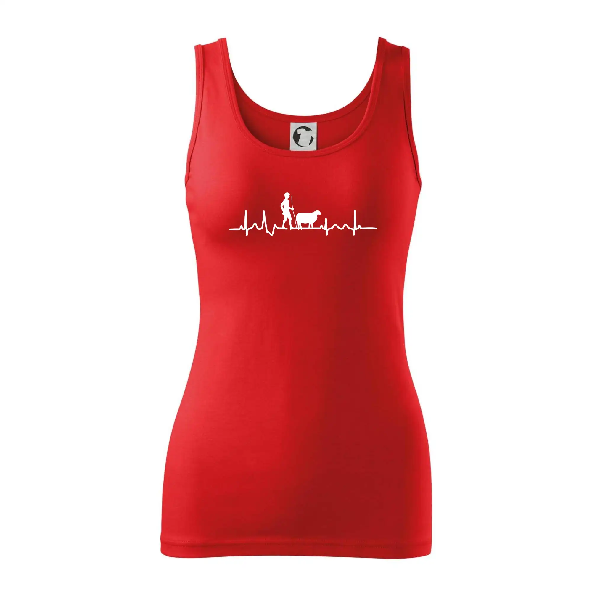 Ekg pastevec ovcí