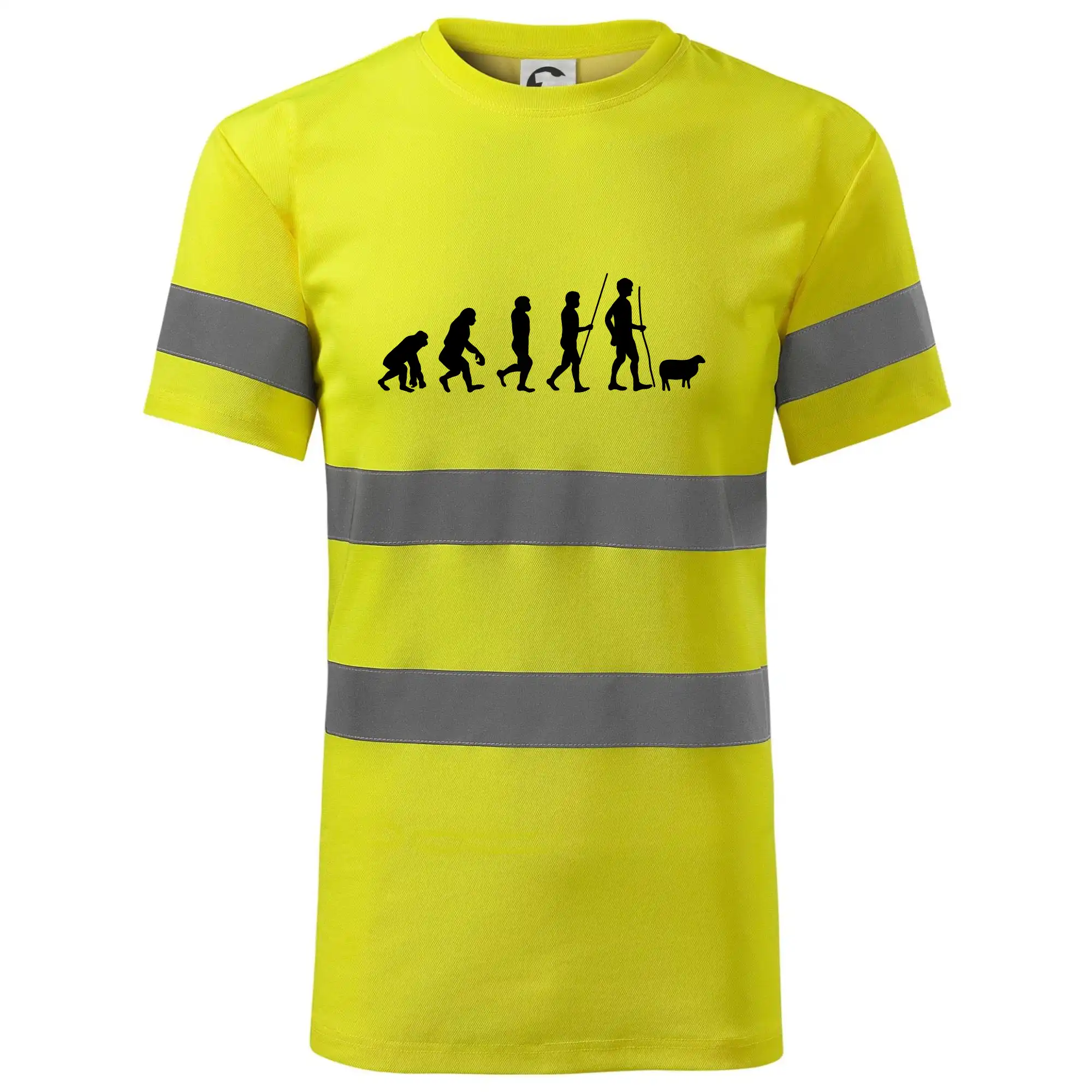 Evoluce pastevec ovcí