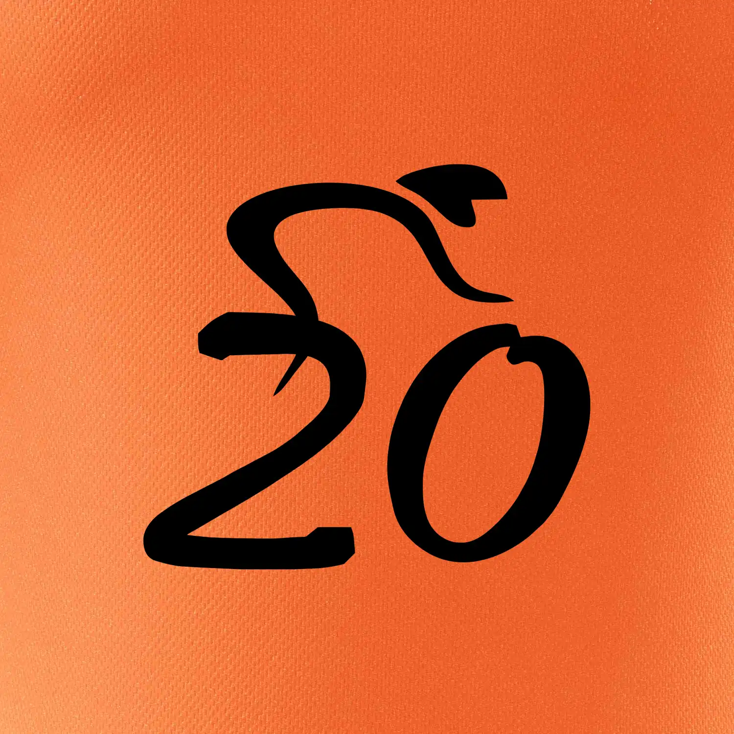 Cyklista slaví dvacítku (20)