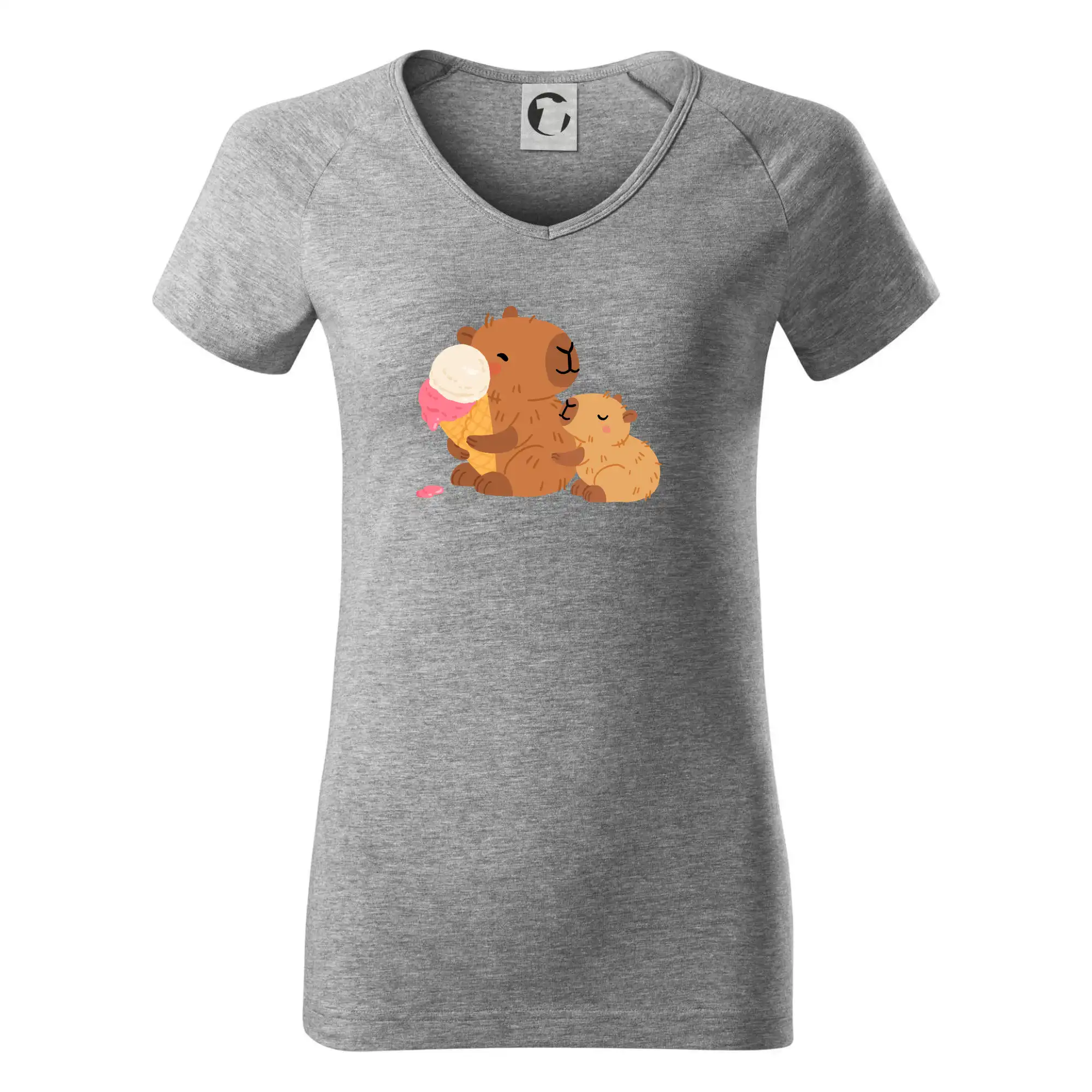 Kapybara se zmrzlinou