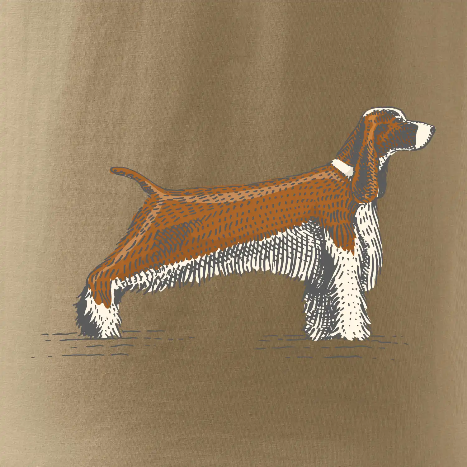 Vintage Springer spaniel