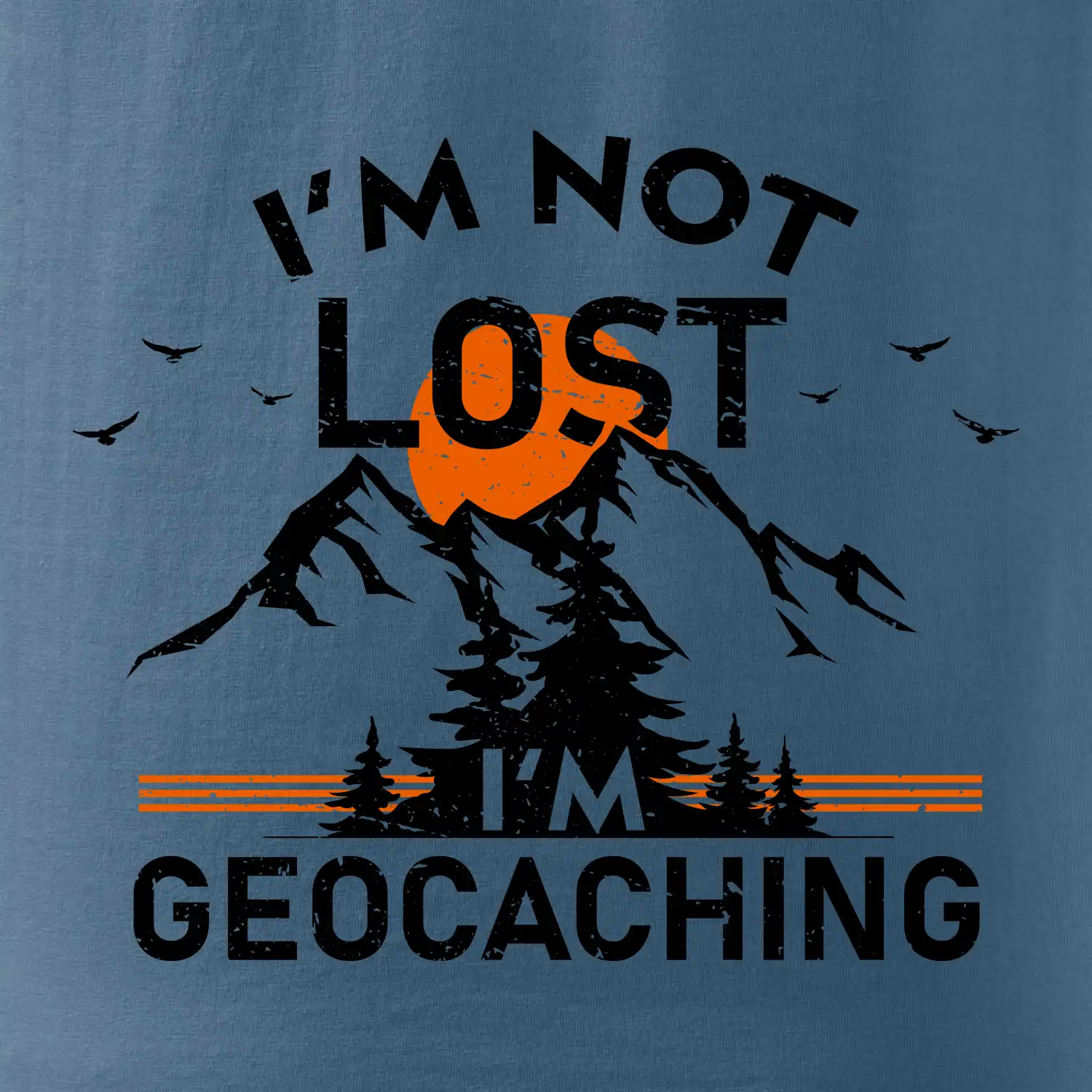 Im not lost - geocaching