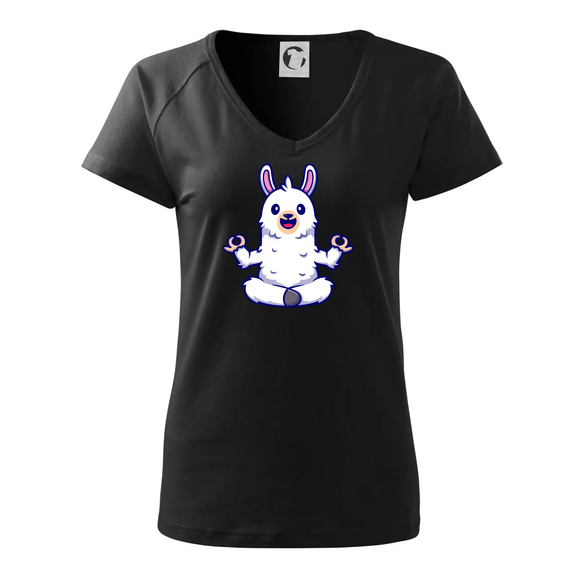 Yoga meditace - lama