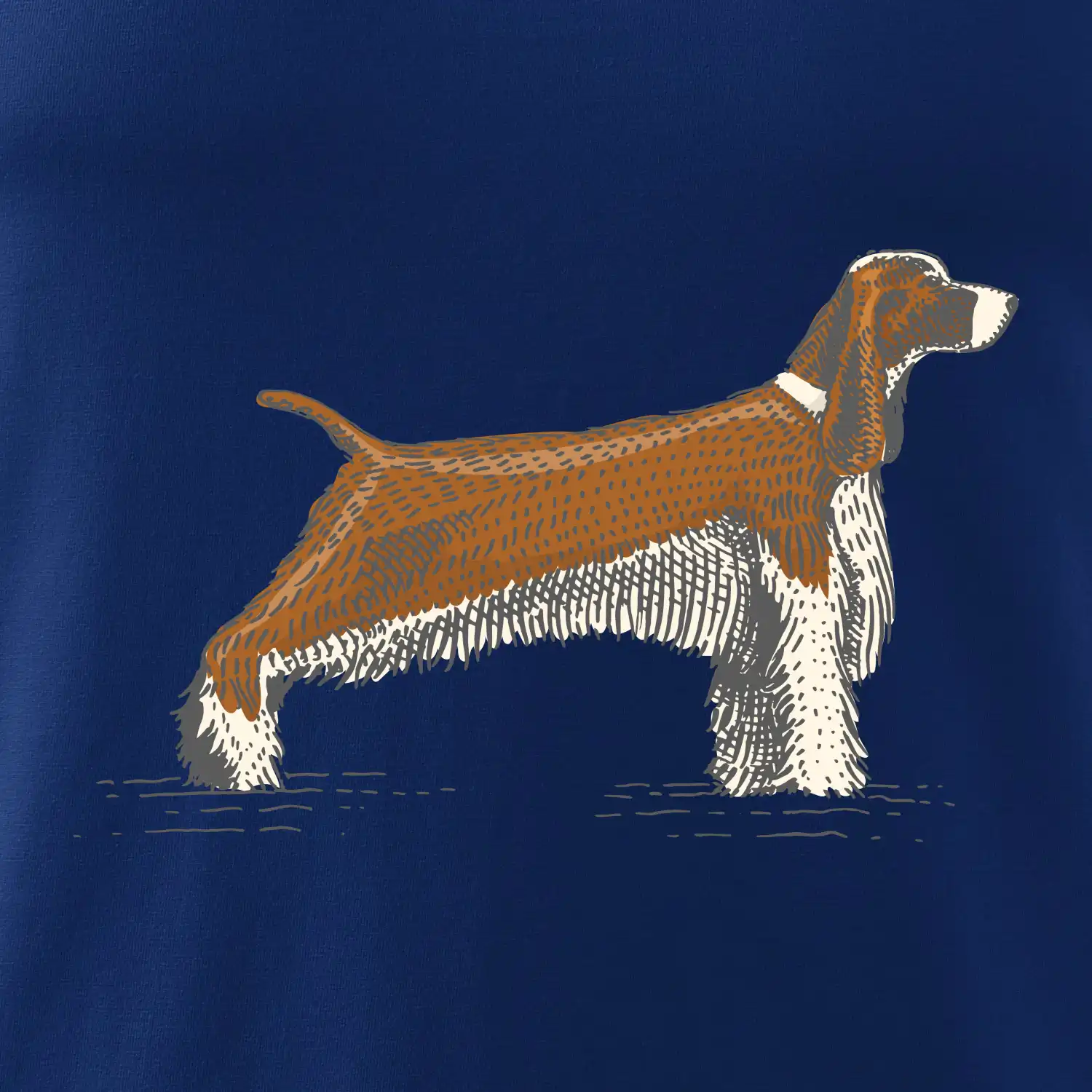 Vintage Springer spaniel