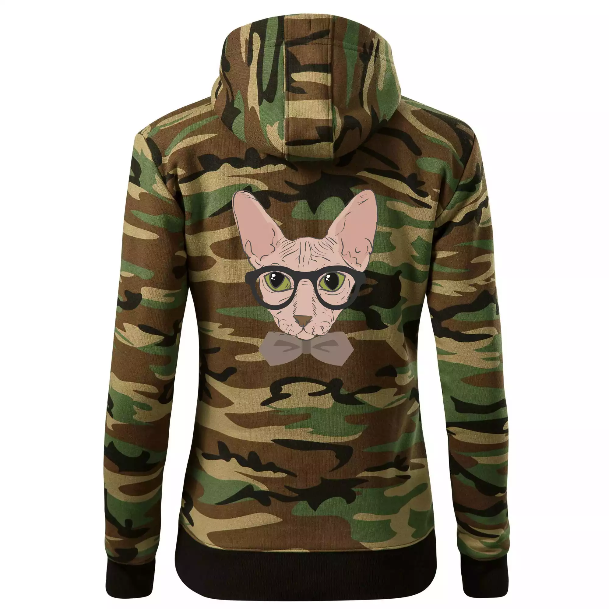 Hipster sphynx