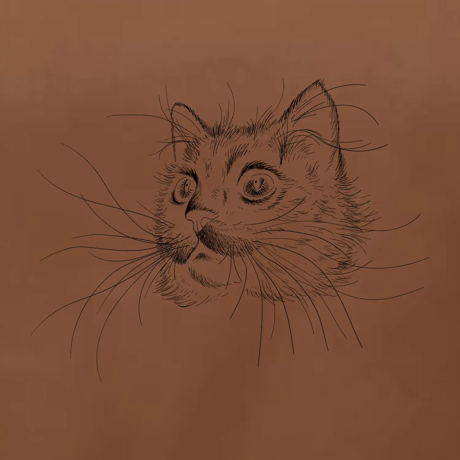 Kočka ilustrace