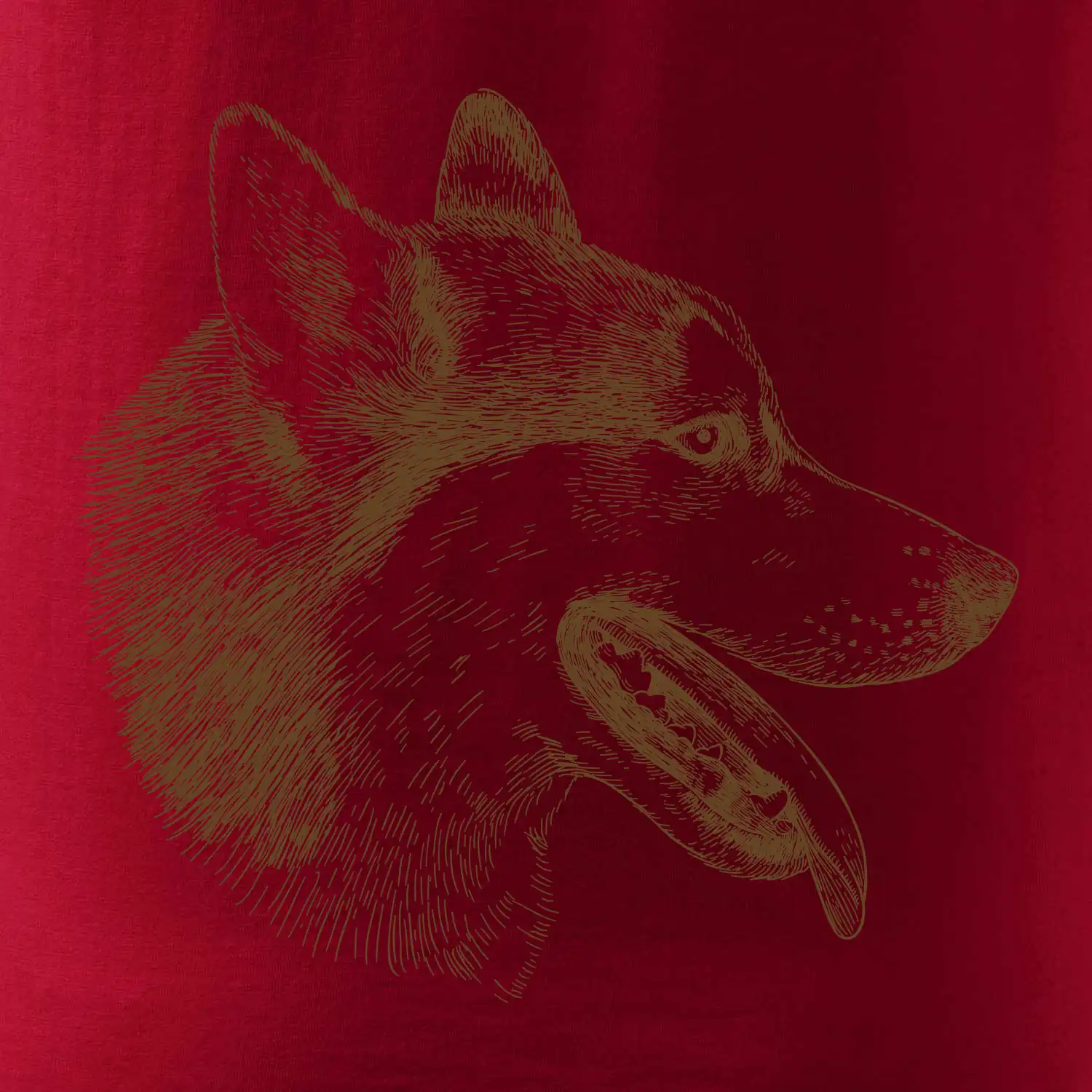 Husky - hlava z boku