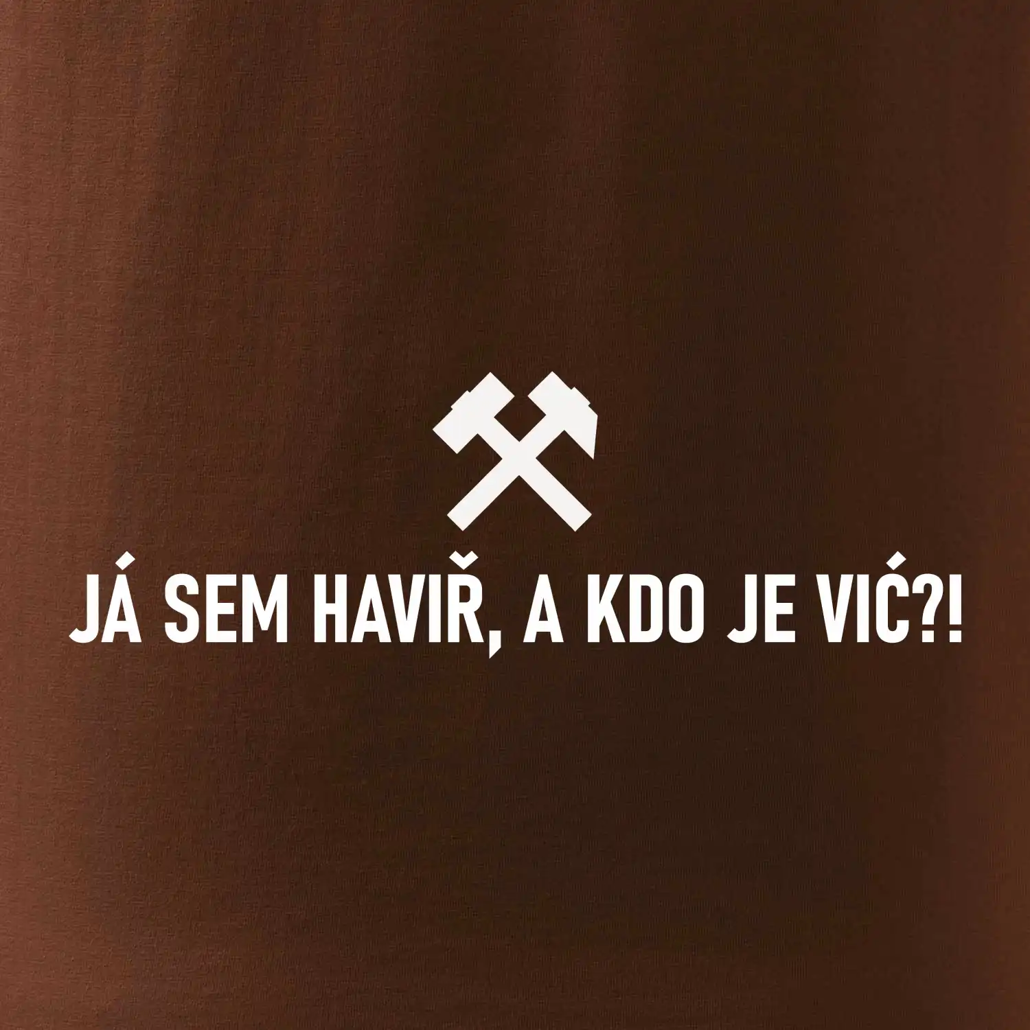 JÁ SEM HAVIŘ, A KDO JE VIĆ?!﻿