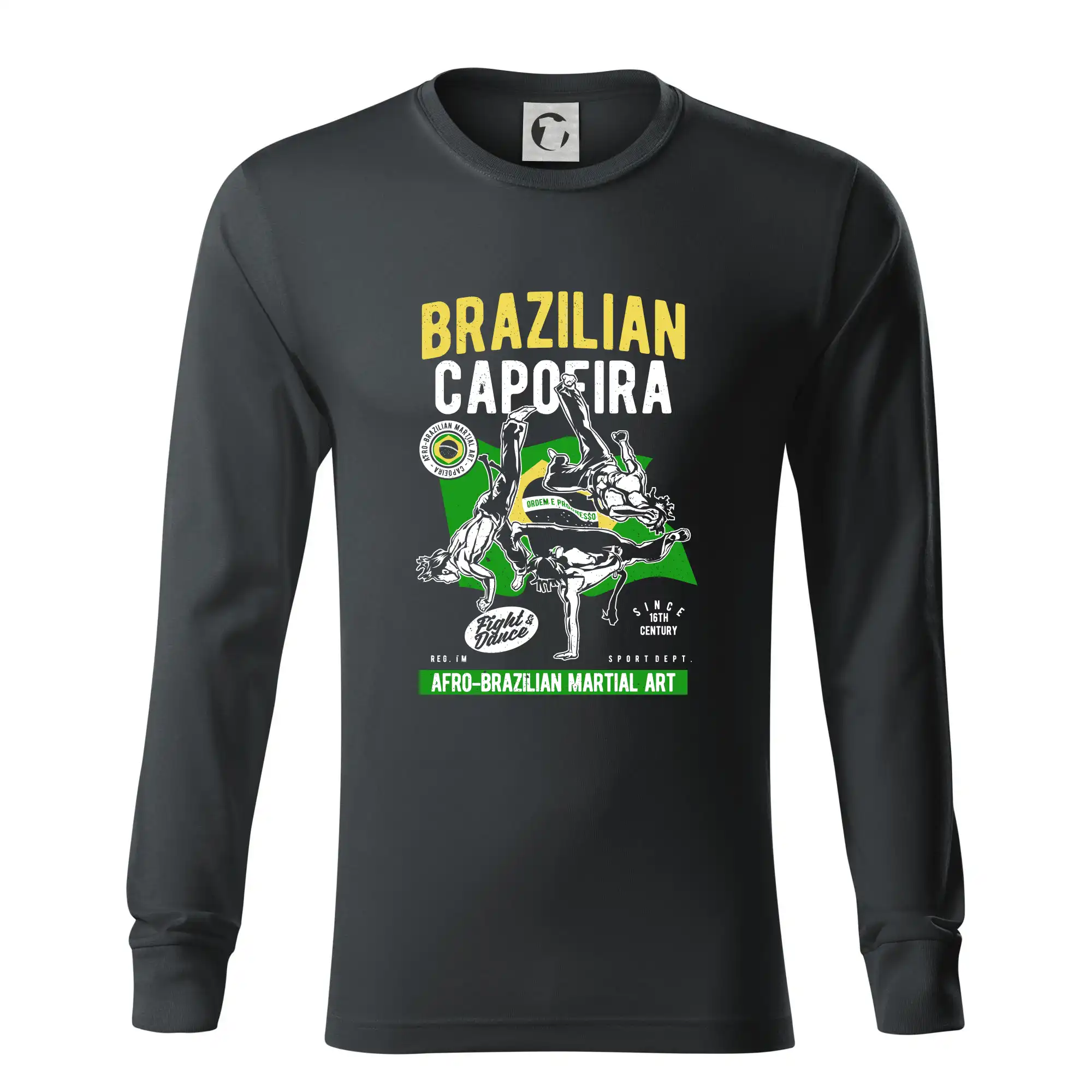 Brazilian Capoeira