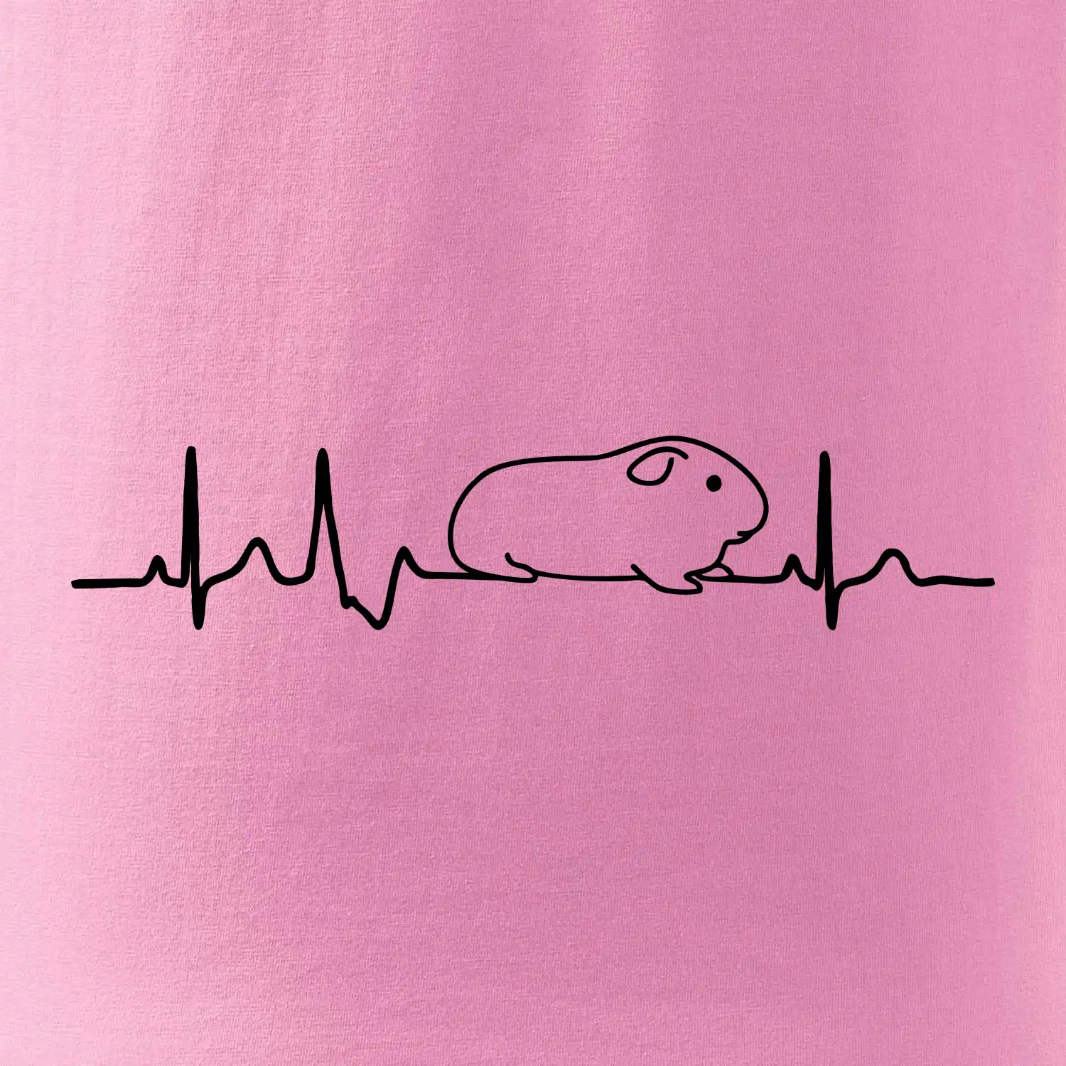 EKG morče