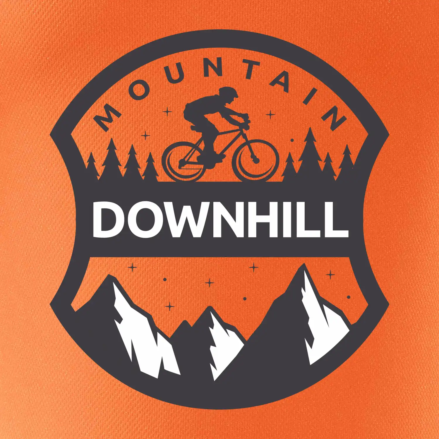 MTB downhill erb