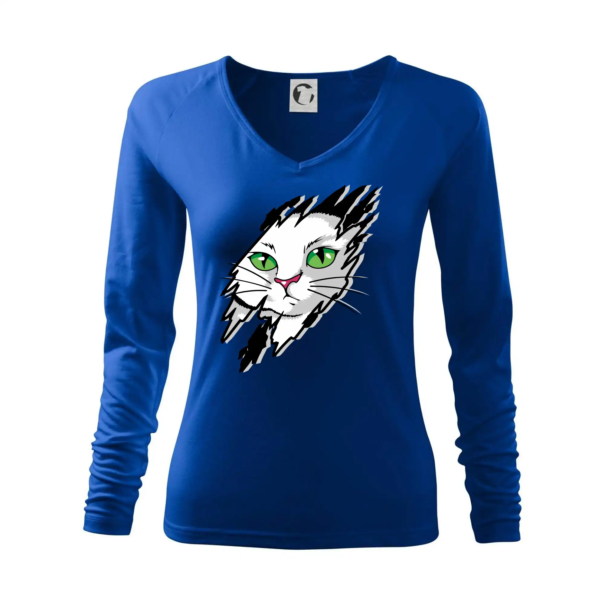 Kočka v roztrženém triku