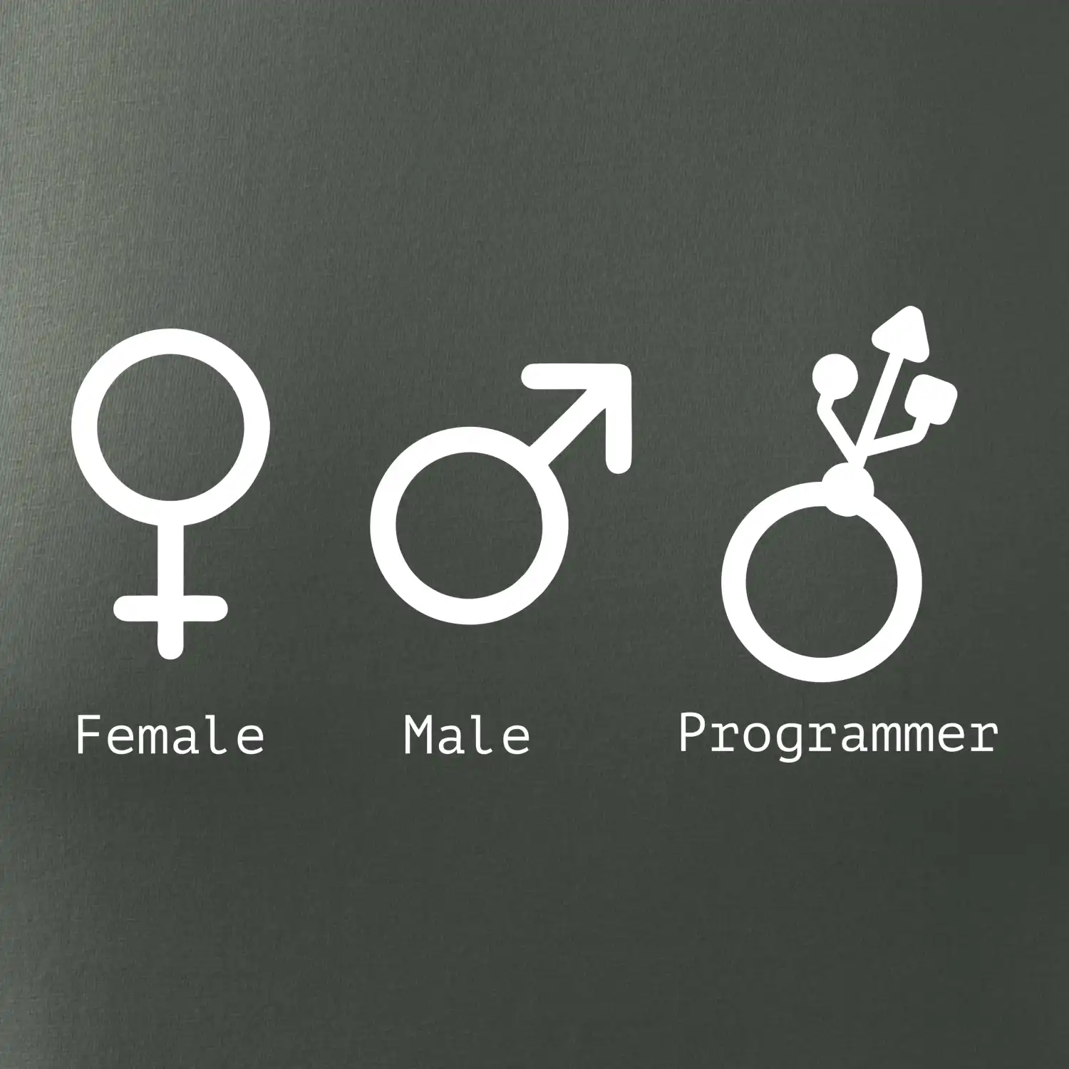 Female male programmer