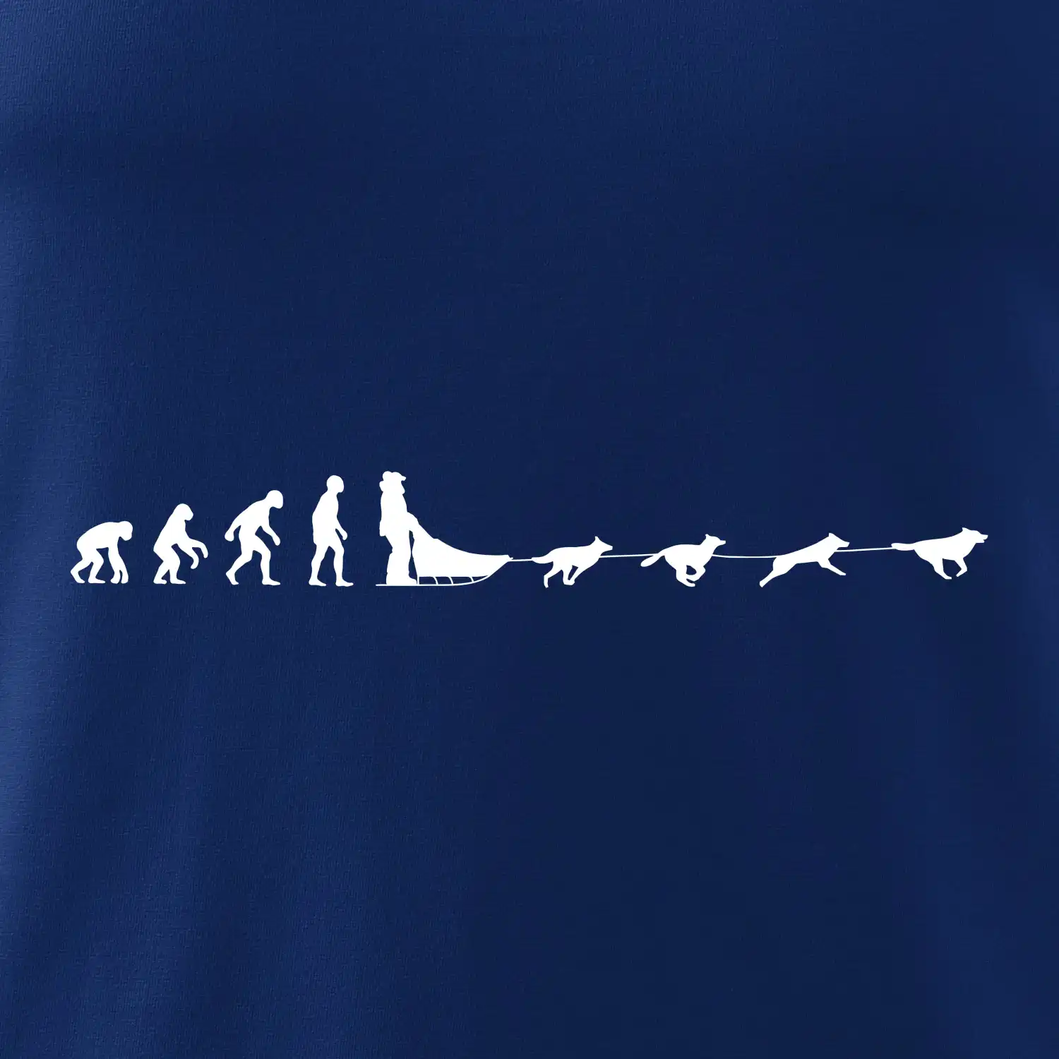 Evoluce psí spřežení