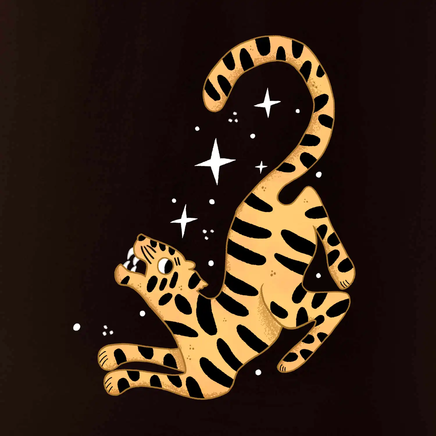 Tygr s hvězdami (studio-arte.cz)