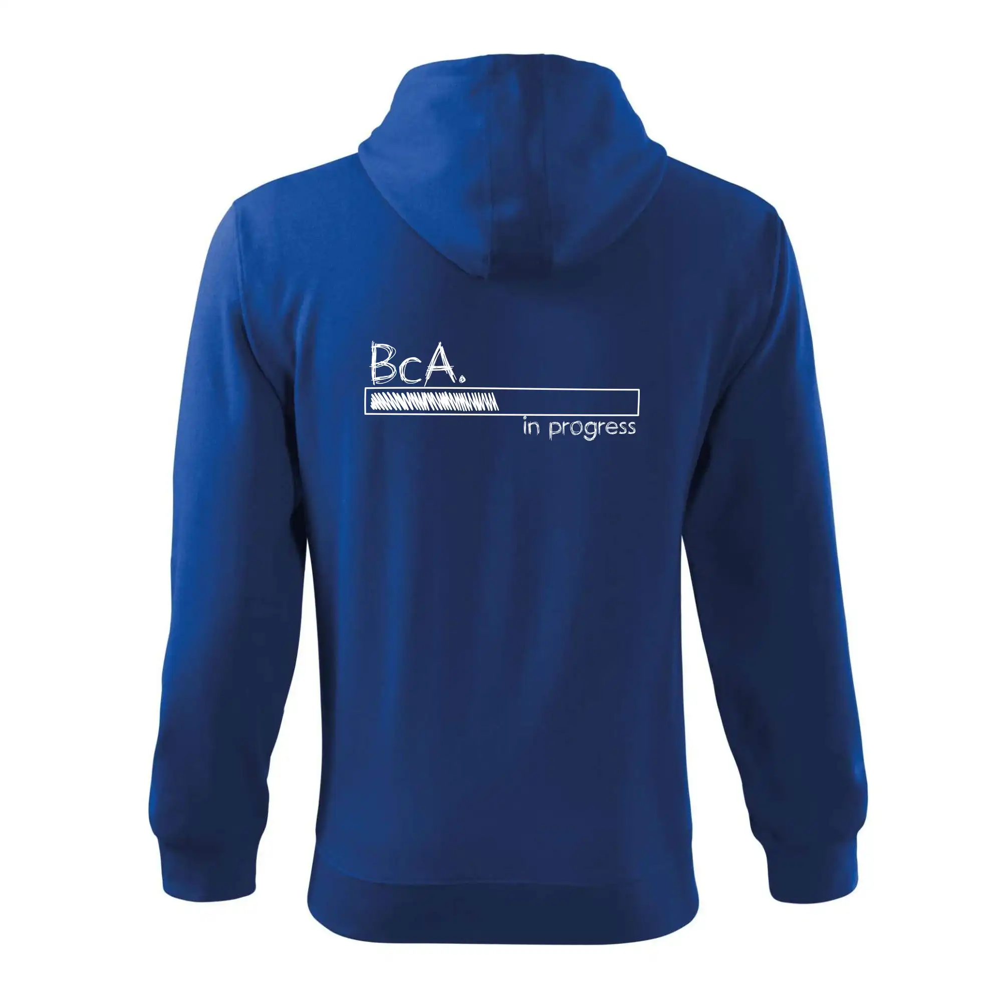 In progress  titul BcA. bakalář / bakalářka umění