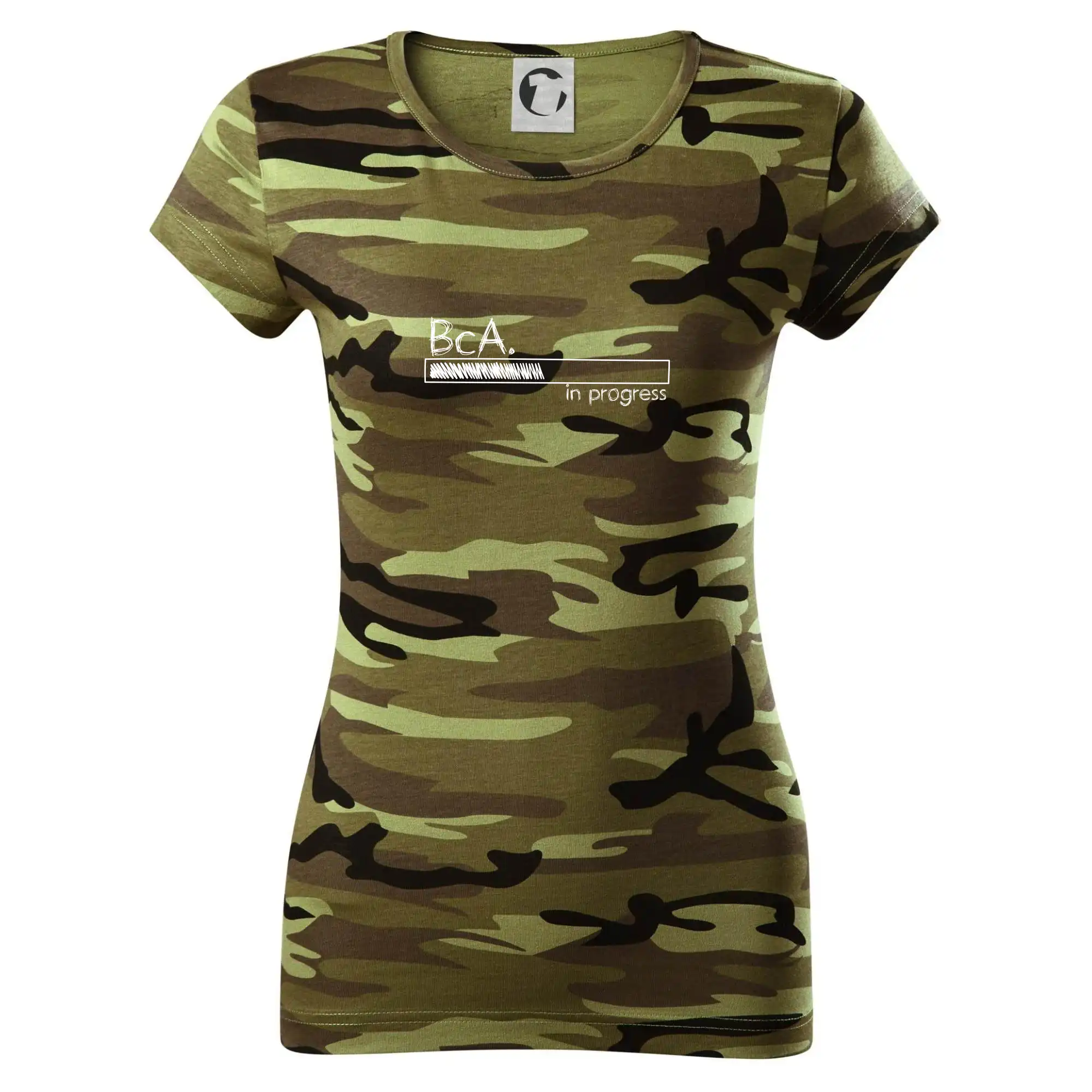 In progress  titul BcA. bakalář / bakalářka umění