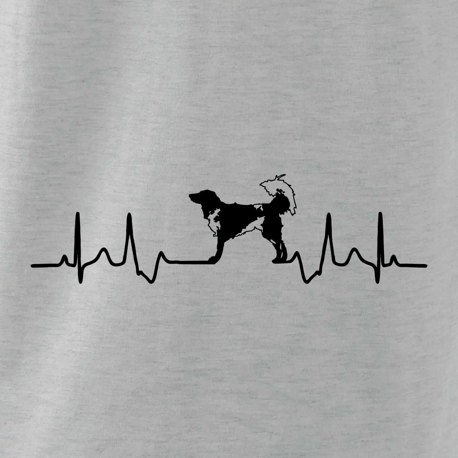 Český strakatý pes EKG