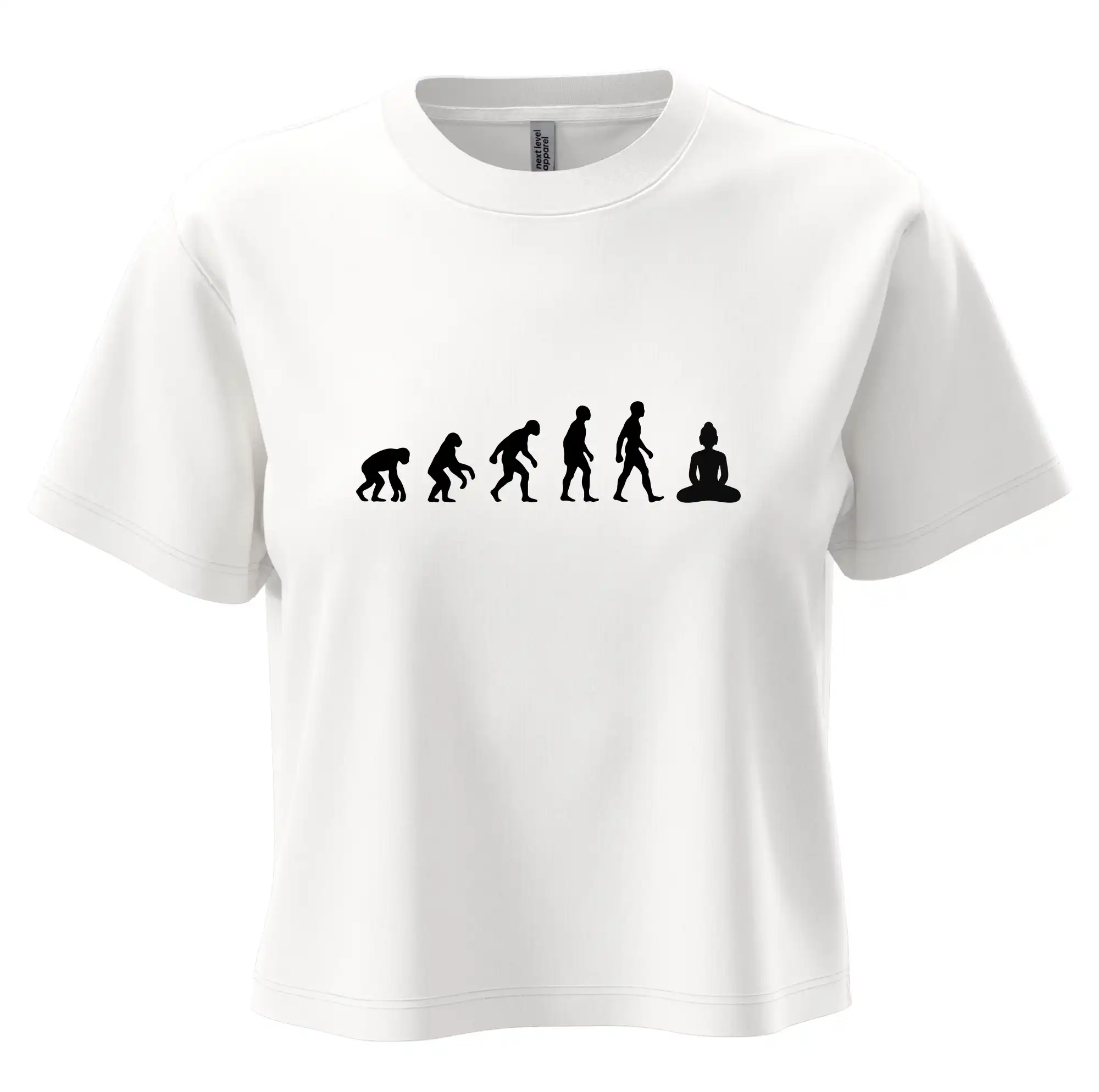 Evoluce budha