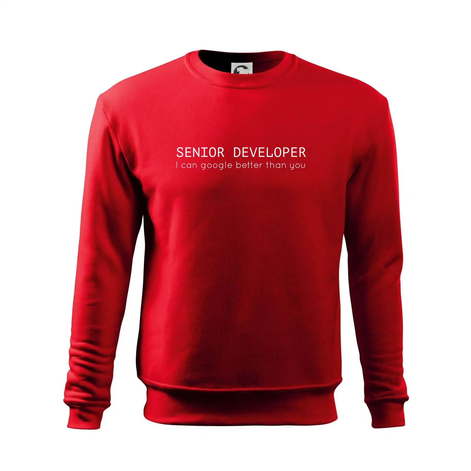 Senior developer google better than you