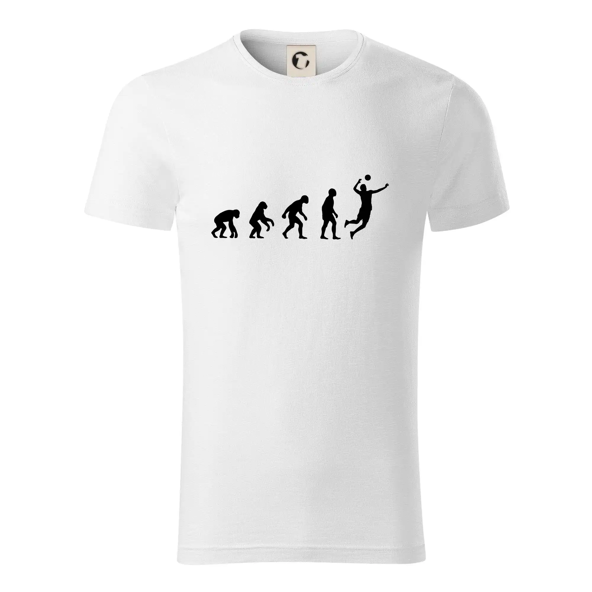 Evoluce volejbal smeč