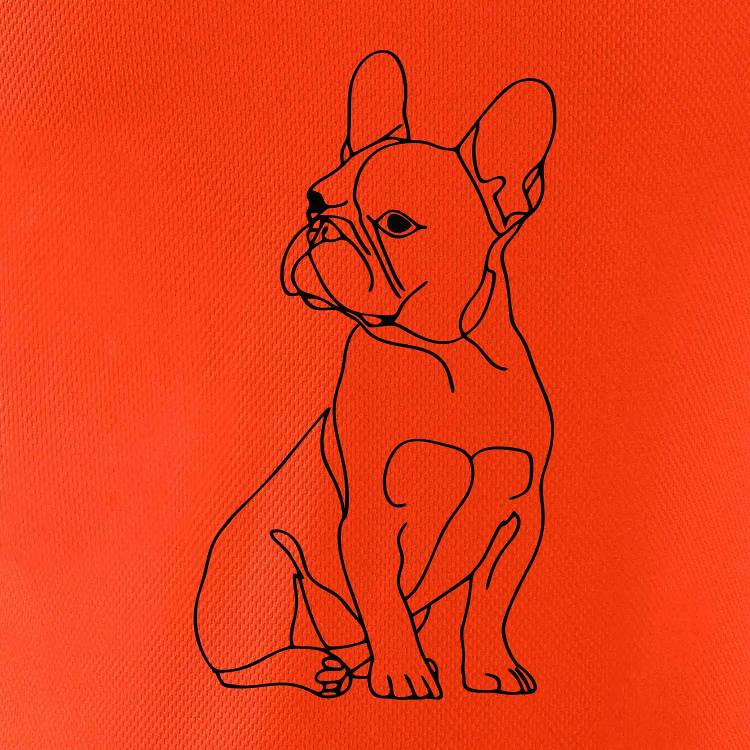 Francouzský buldoček černá kresba