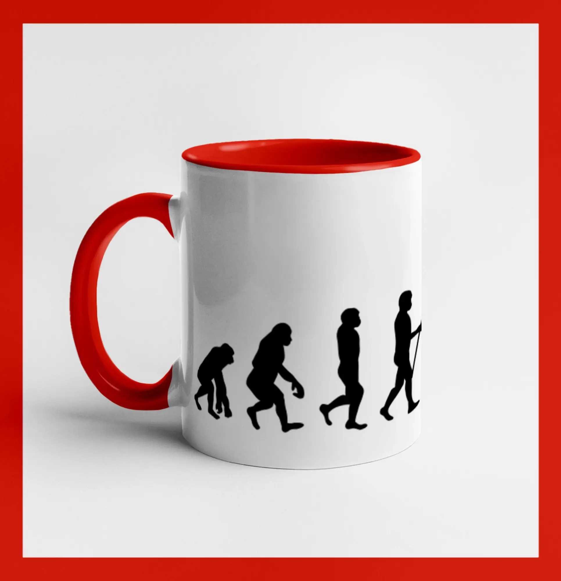 Evolúcia rogalo