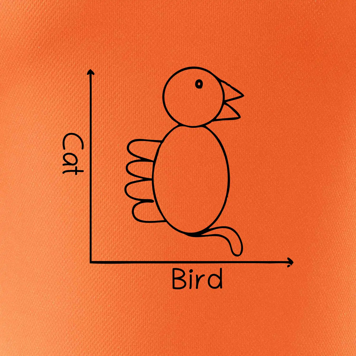 Cat bird diagram