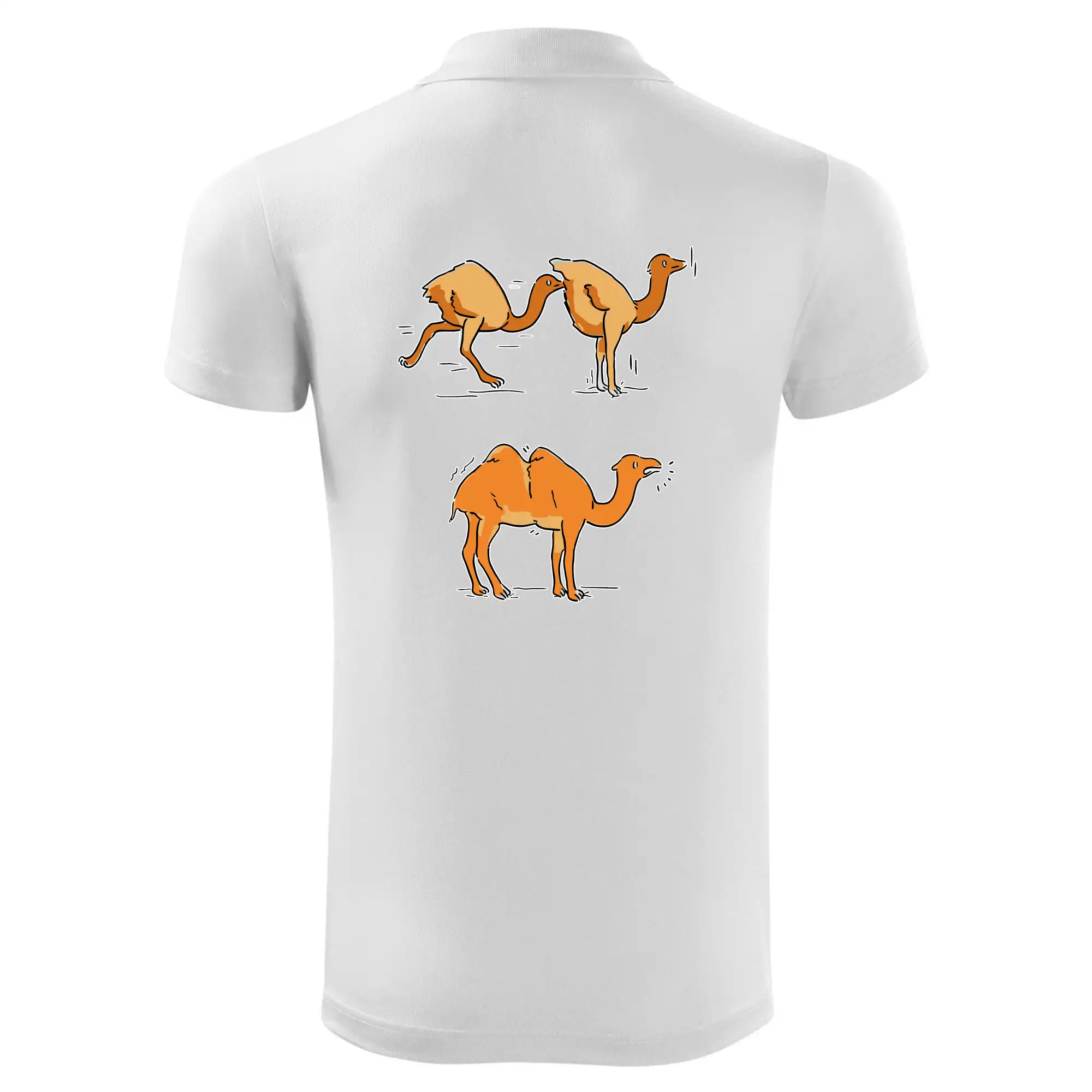 Pravda o velbloudech