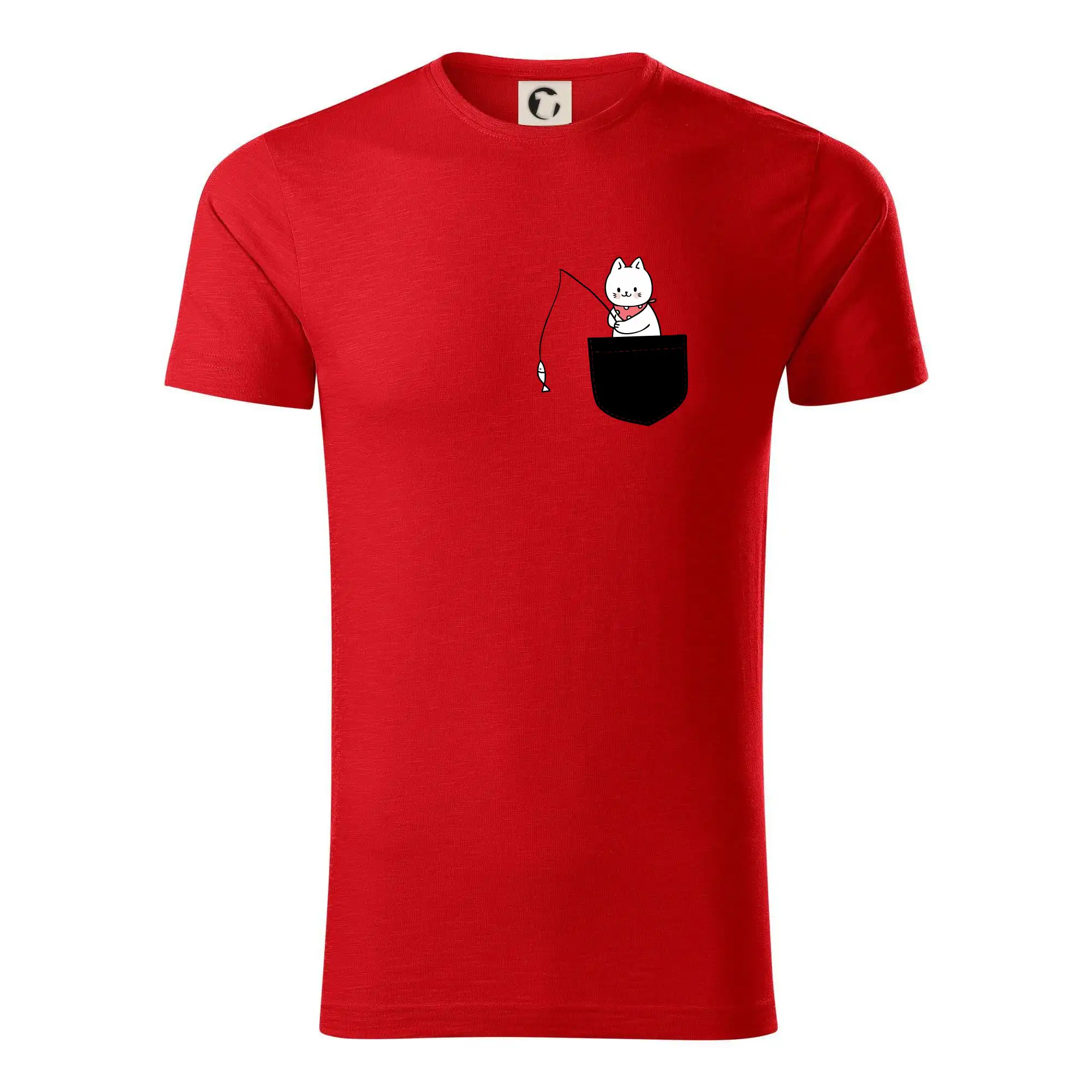 Kočka s rybou v kapse
