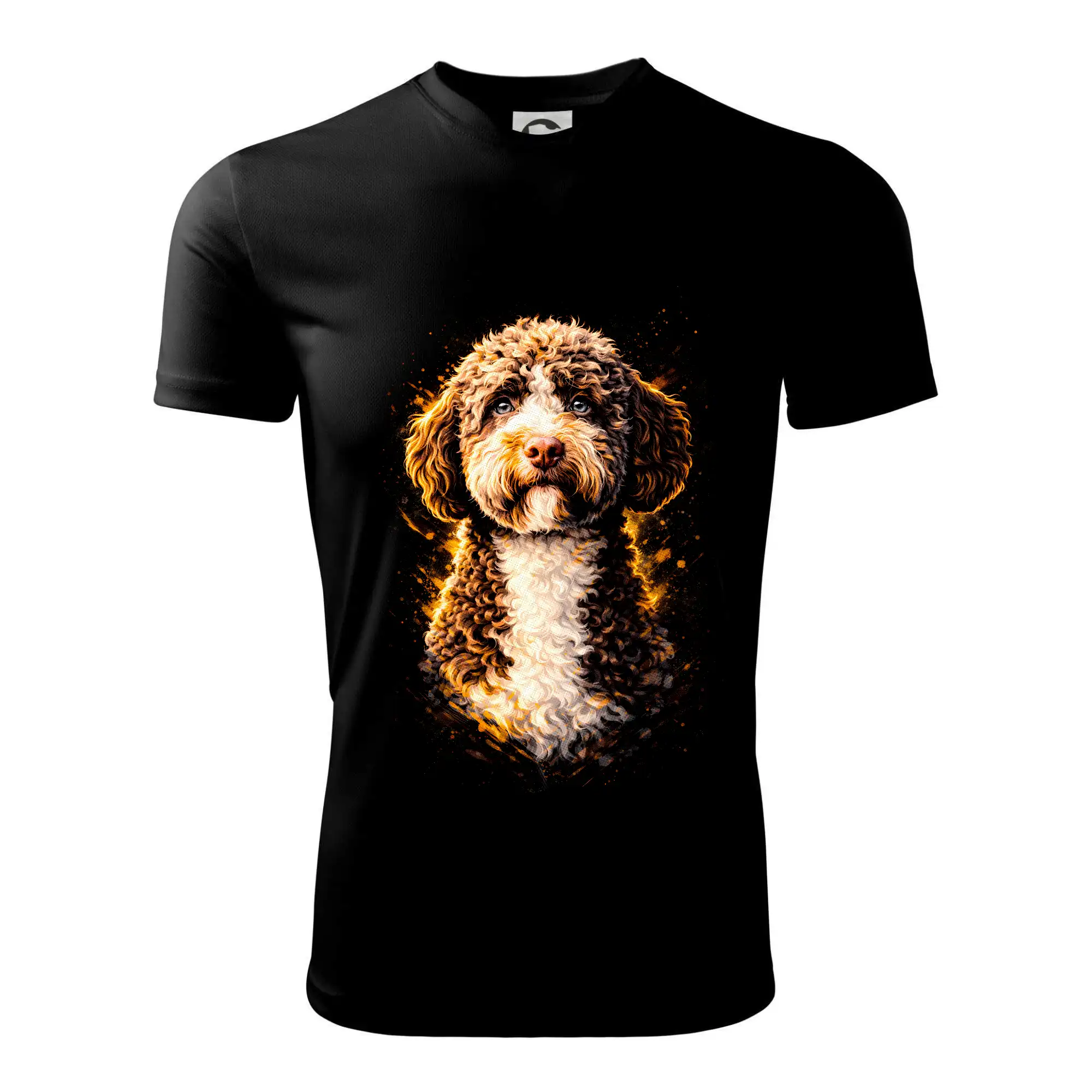 Obrázek polotón Lagotto Romagnolo