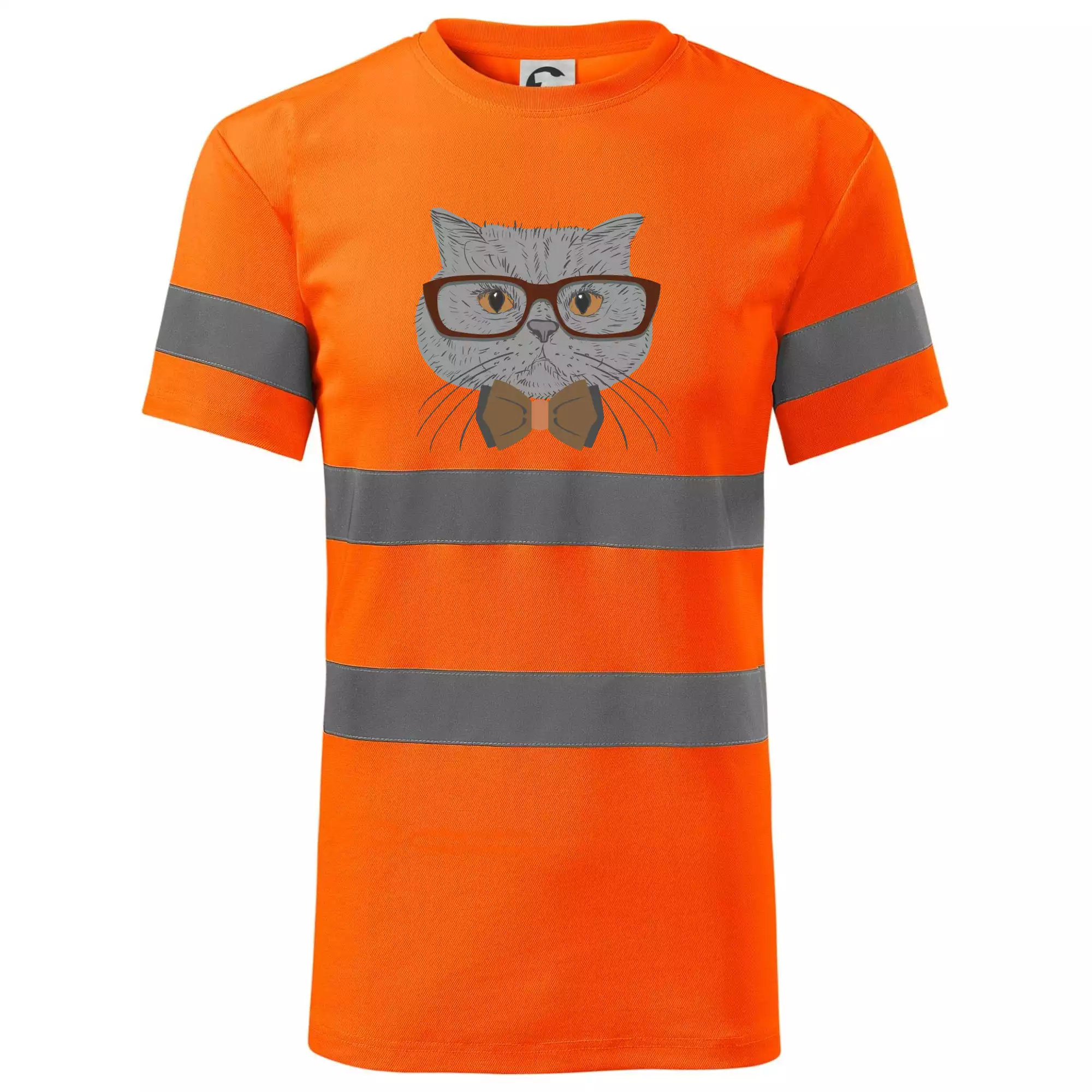 Hipster britská modrá