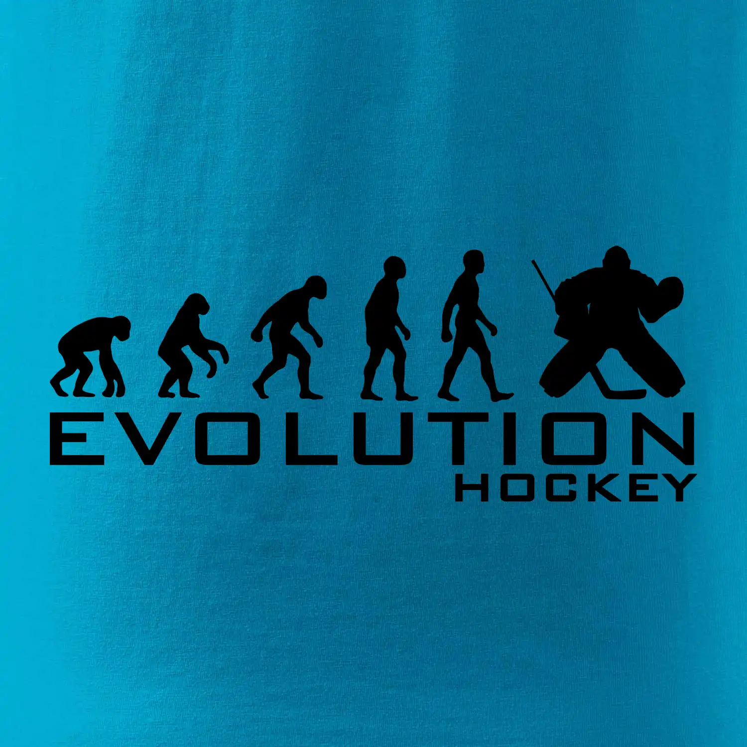 Evoluce Hockey brankář